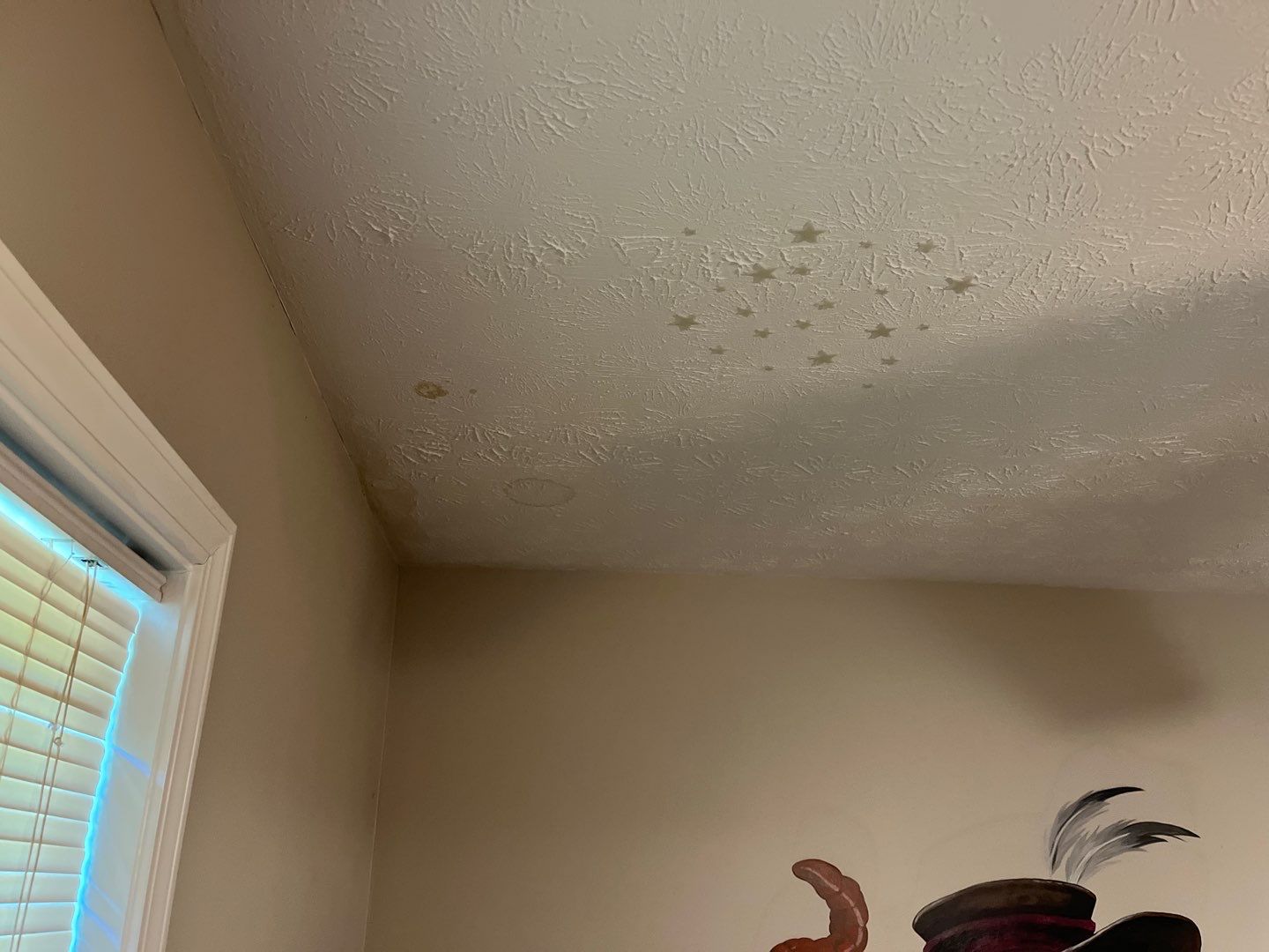 Mold Remediation in Louisville, KY by ANR Restoration