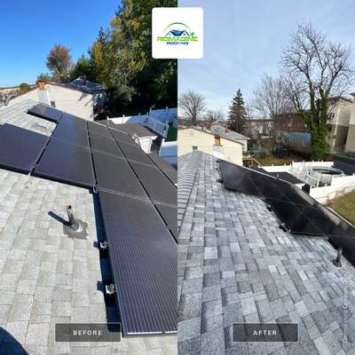 Silver Birch Shingles
