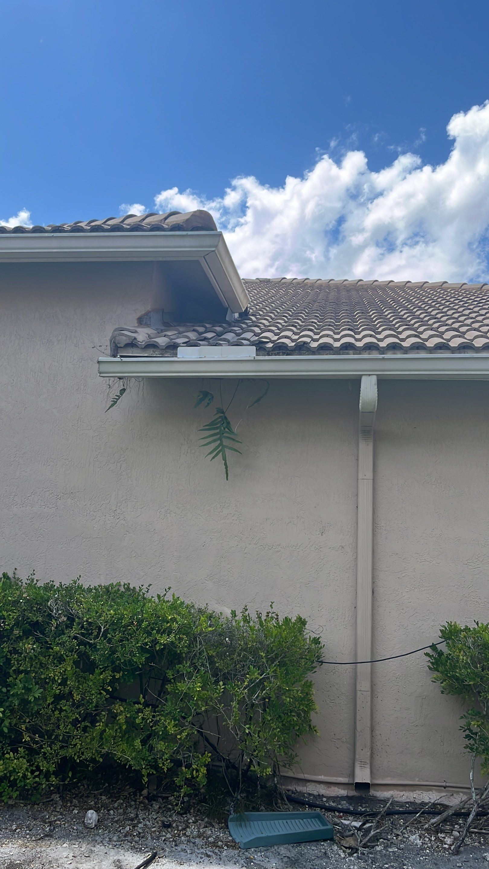 Roof repair due to bird-related damage by The Goat Contractor ( Giampri Corp)