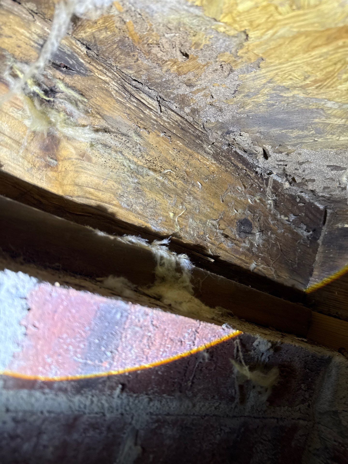 Comprehensive Siding and Wood Rot Repair in Fayetteville- with Interior Remodel by Karcher Roofing & Construction