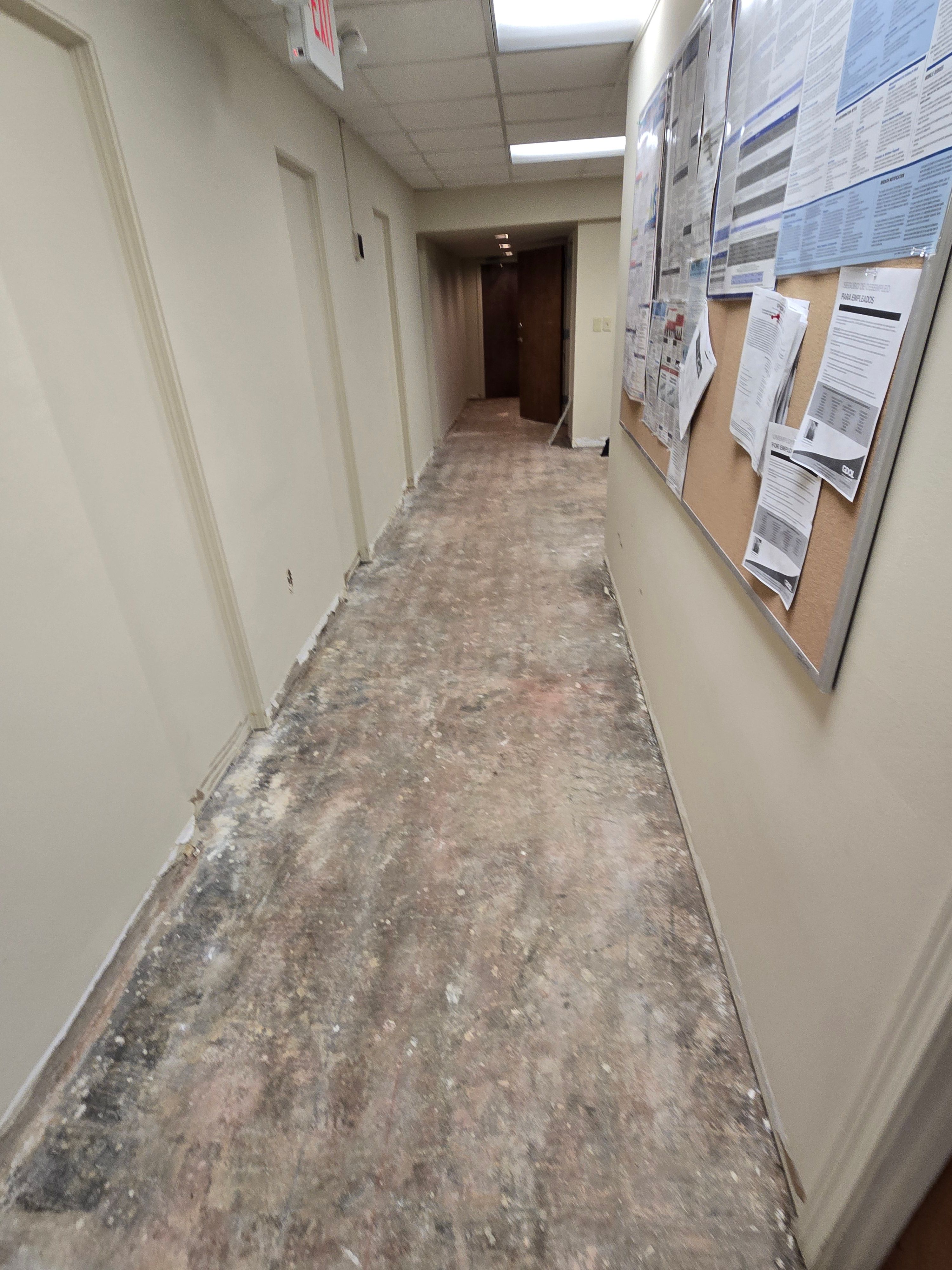 Commercial Flooding by Serenity Restoration