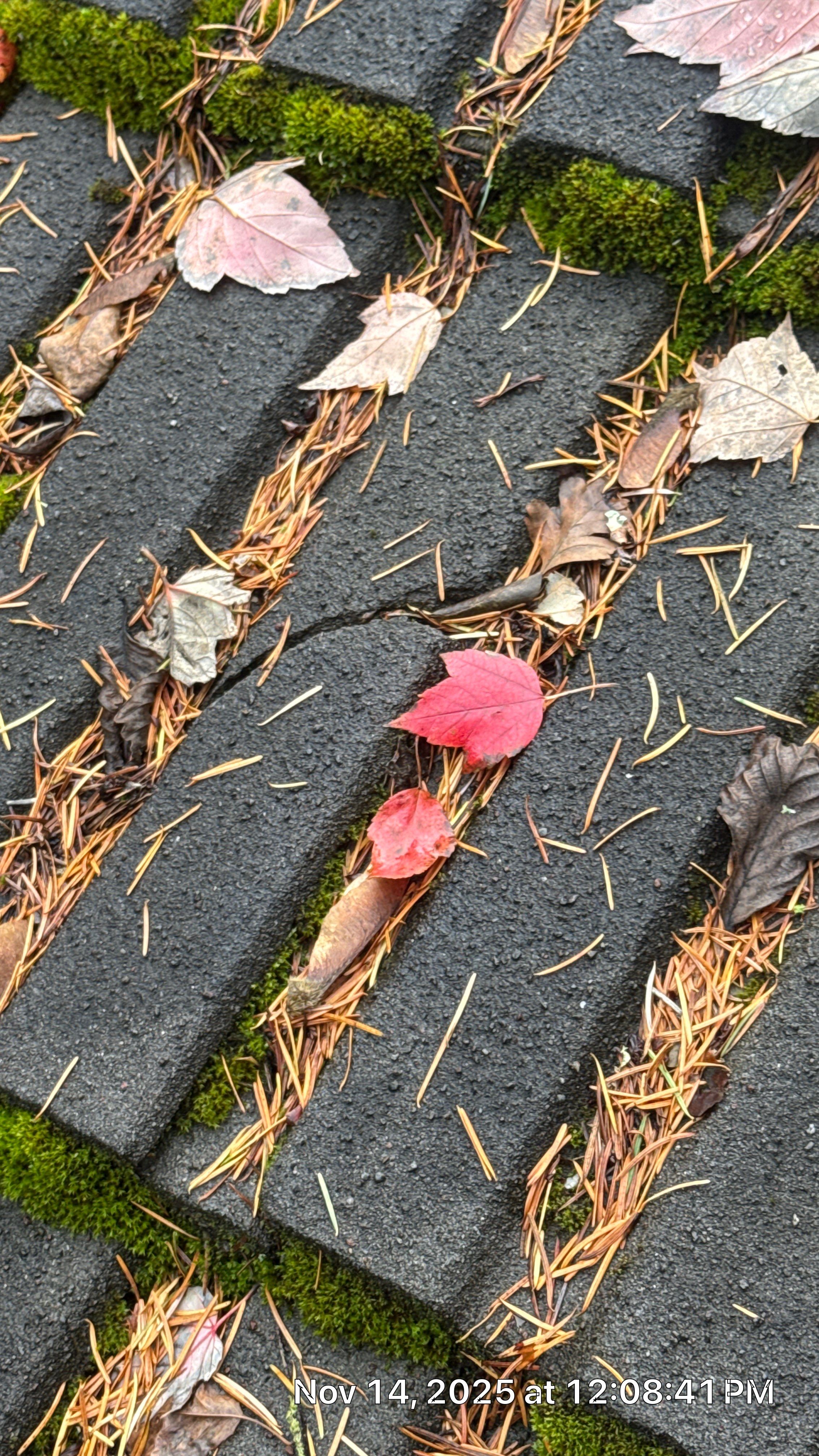 Project in Happy Valley, OR by Rain City Roofers