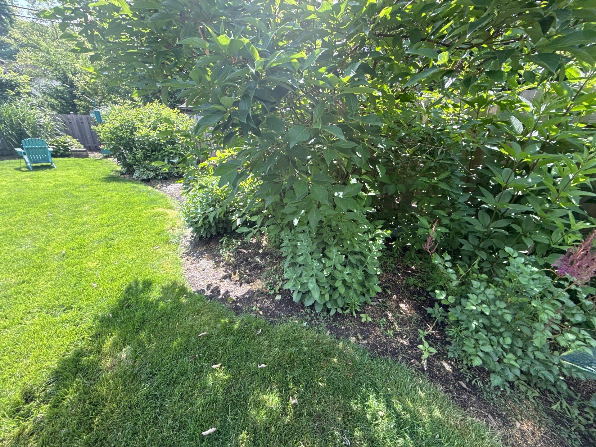 Cheris B. - Mount Prospect, IL by A&N 