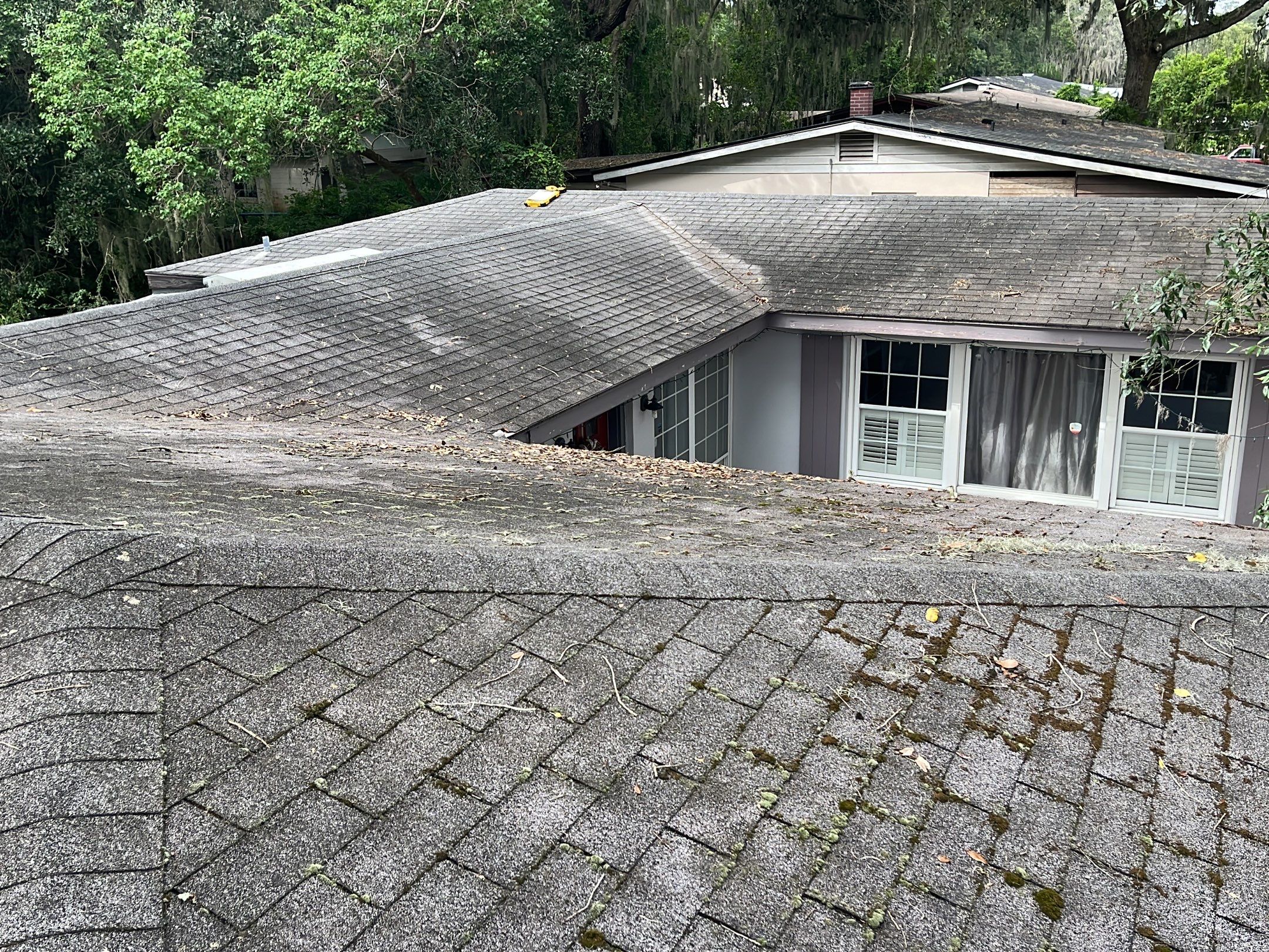Shingle -> Shingle by Prime Roofing