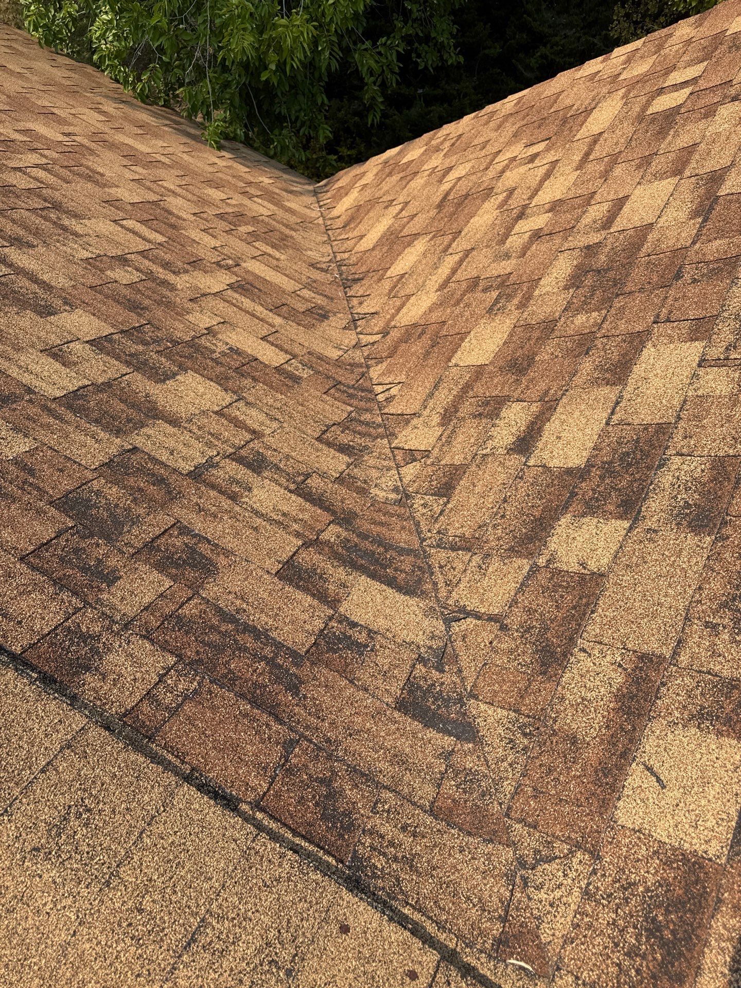 Architectural Shingle Roof Replacement for Boise Log Cabin Home by Olive Roofing
