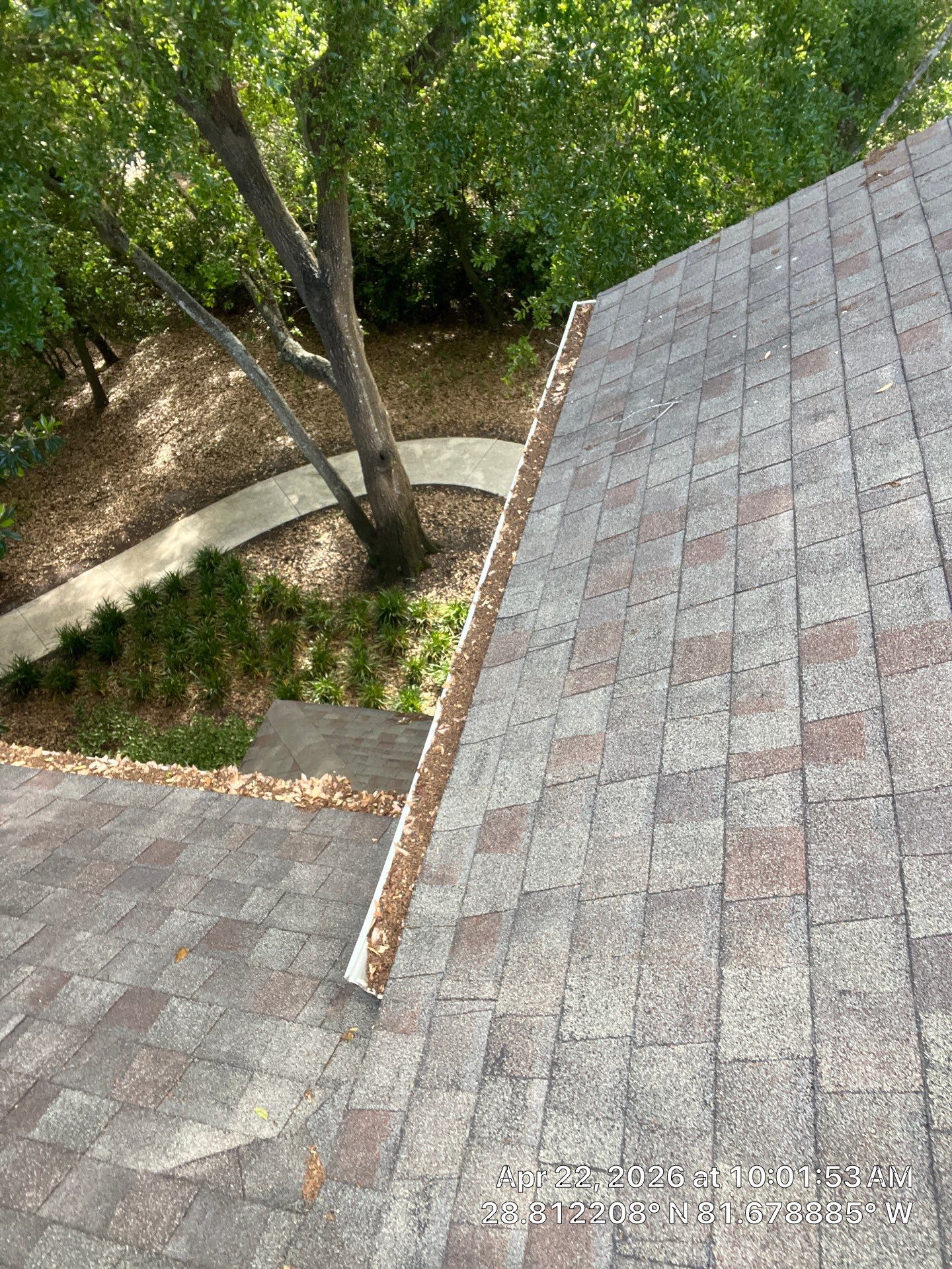 Commercial gutter cleaning The Villages, FL before photo with filled gutters