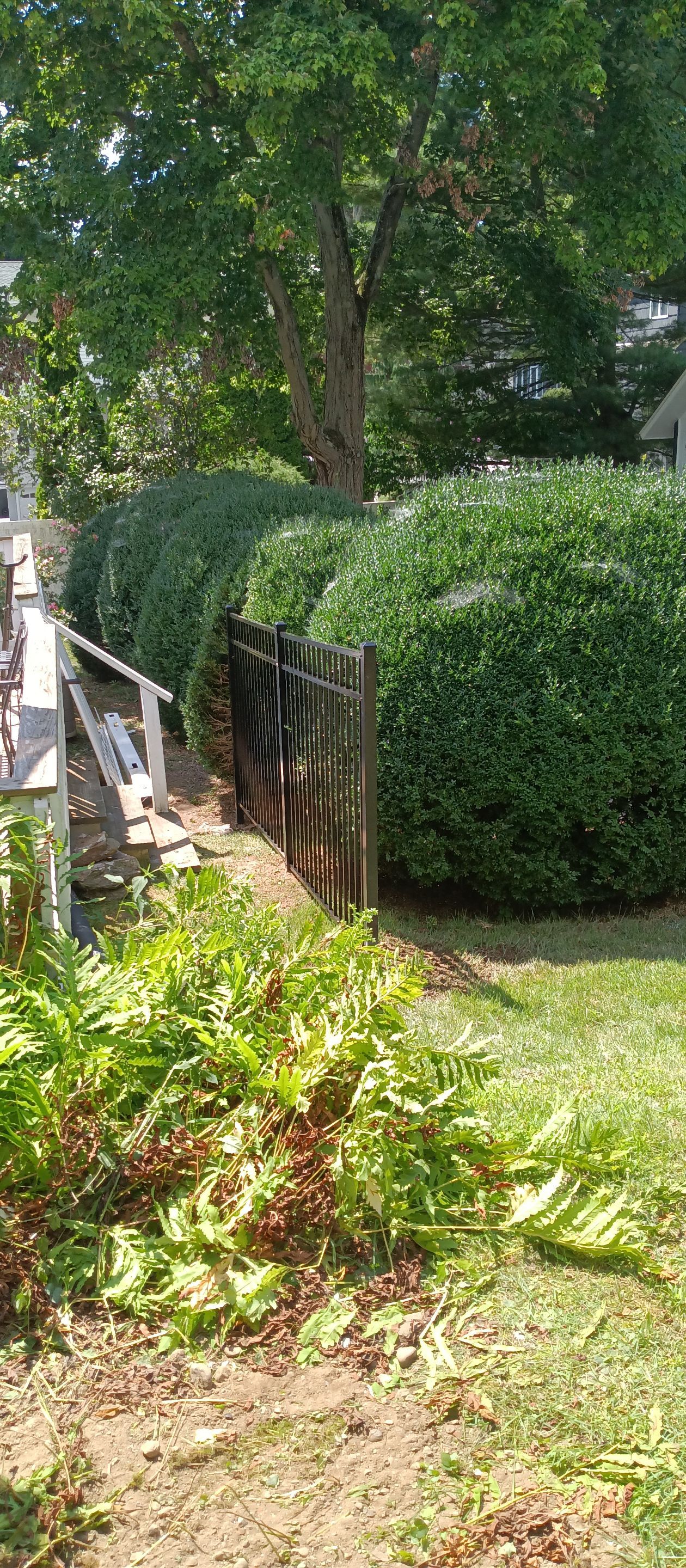Black Aluminum Fence with matching Gate by DiGiorgi Roofing and Siding Inc