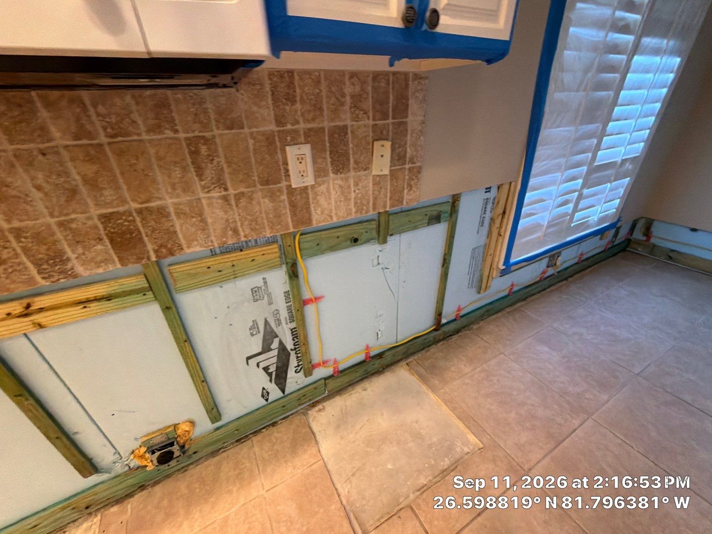 Fort Myers Water Damage Restoration and Professional Mold Remediation by Microscope