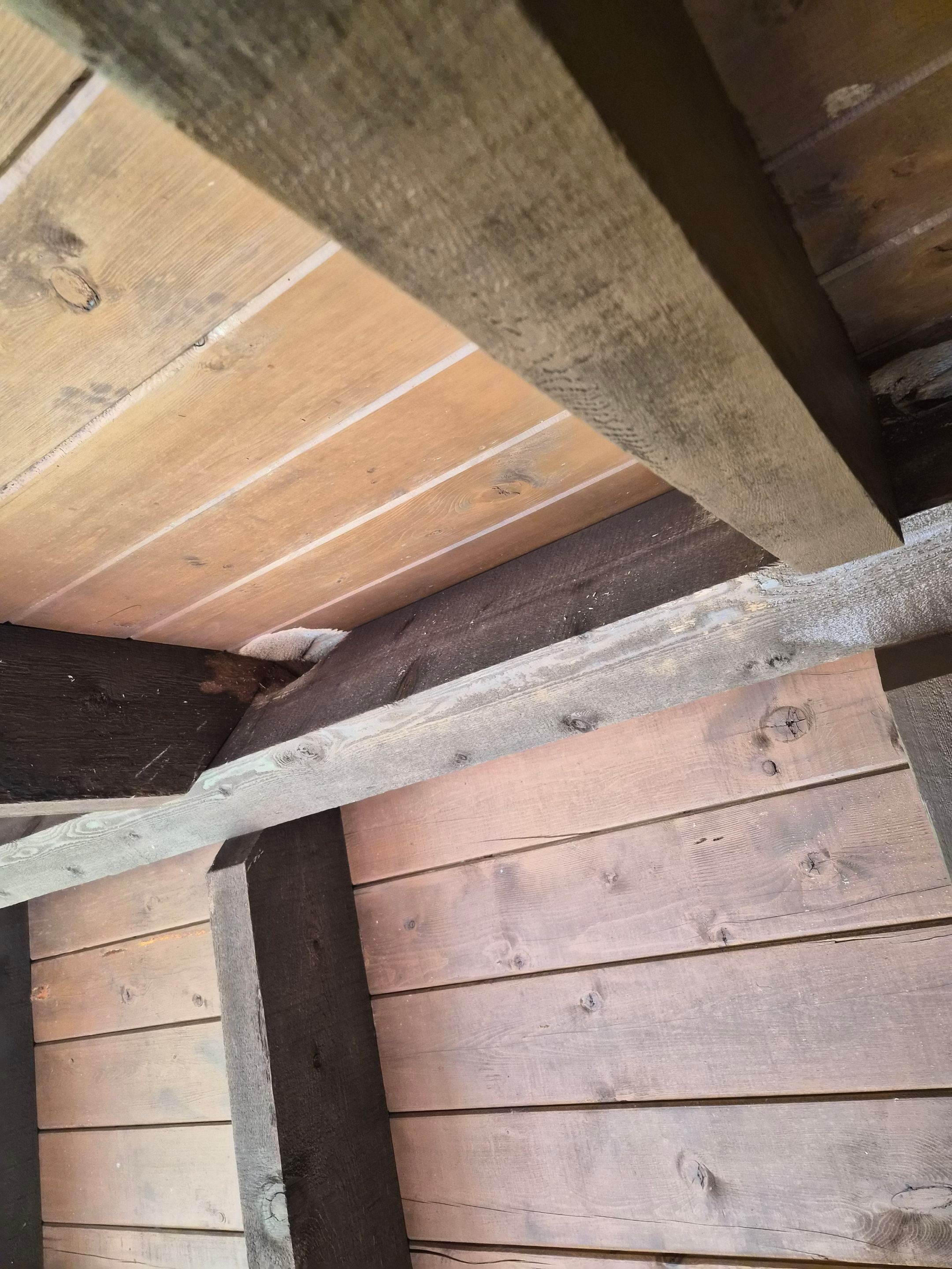 A Complete Exterior Refresh for a Custom Log Home & Property in Alba, Texas by Quality Coats Painting