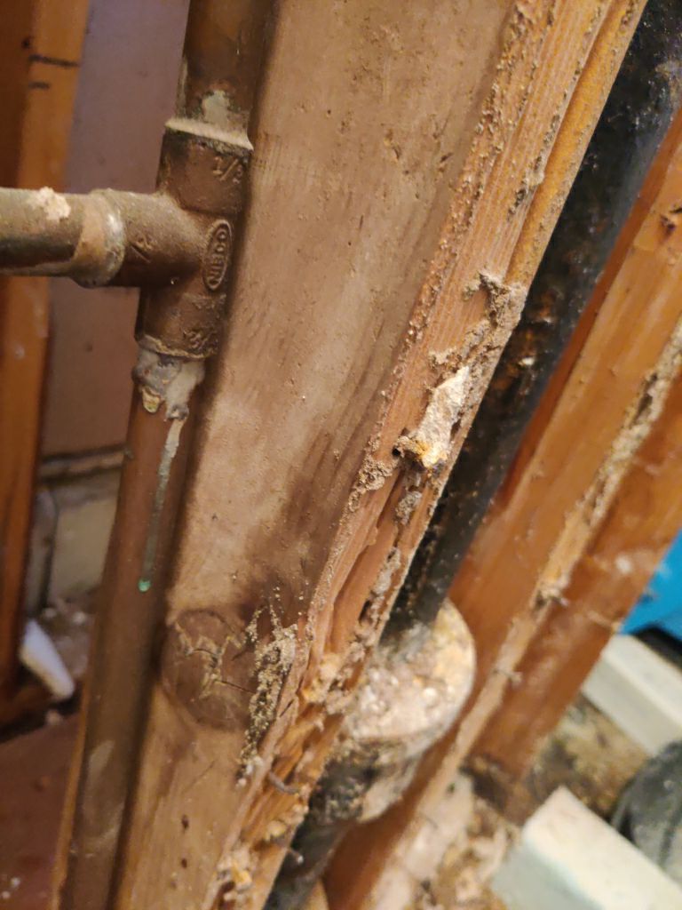 Water Damage Repair by Accountable Home Services