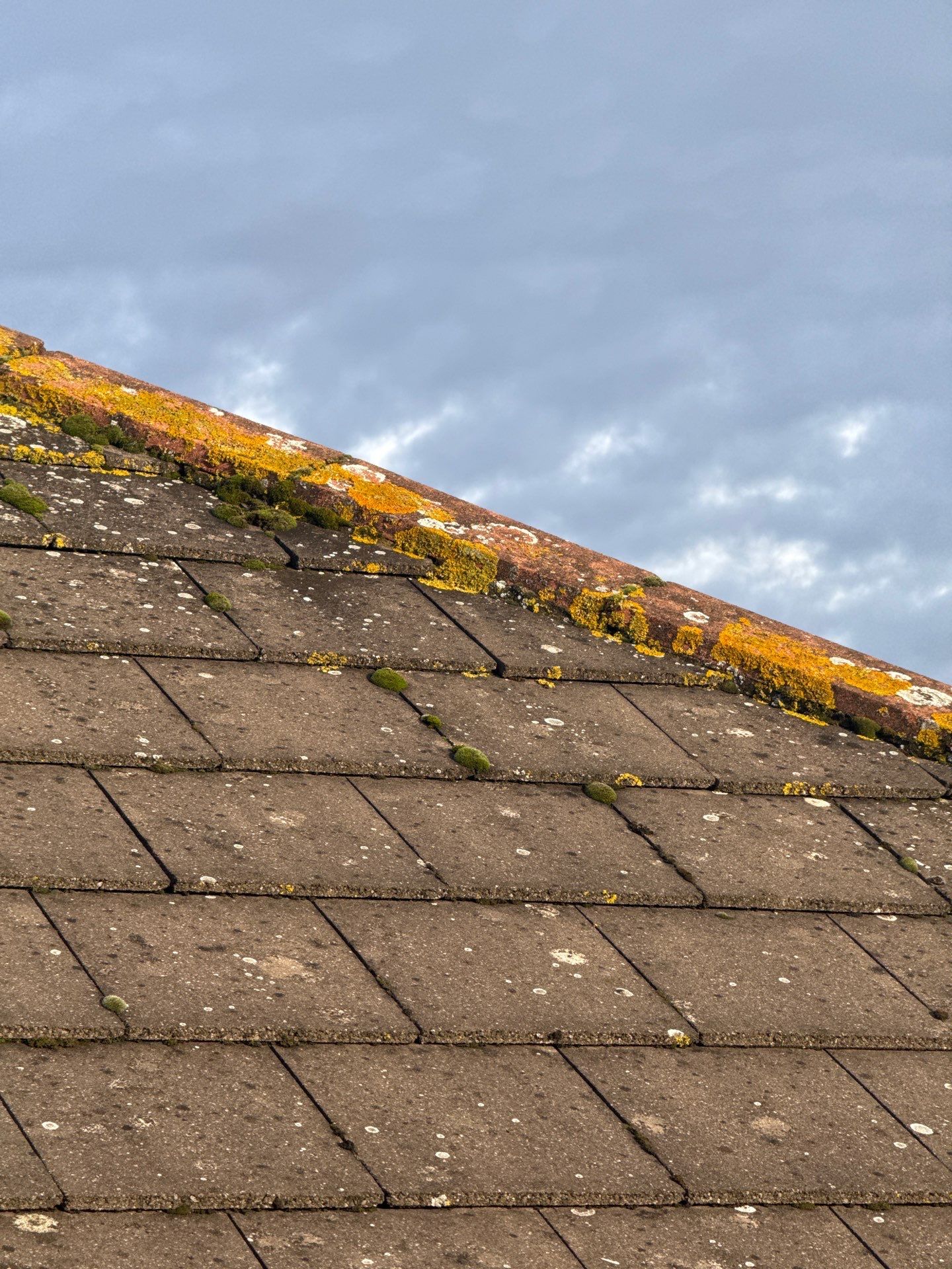 Roof Cleaning by Ges Exterior Cleaning ltd