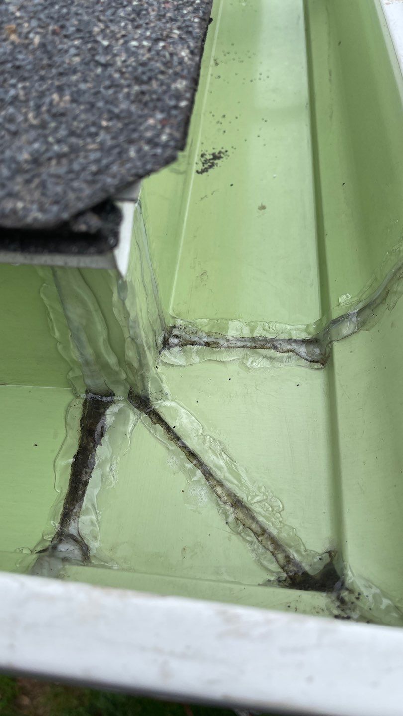 Charlene Charlesworth by Silver Leaf Contracting 