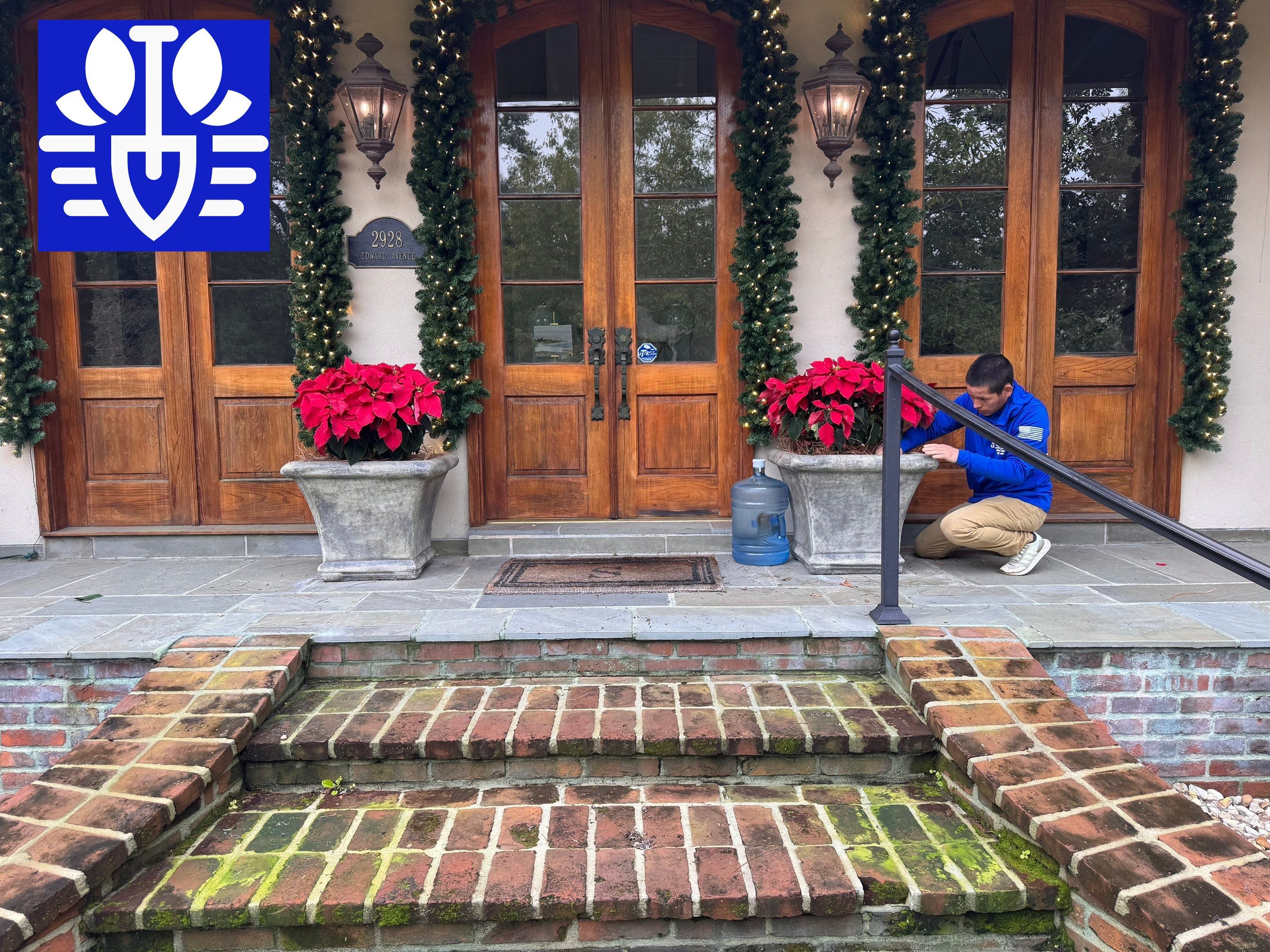 HOLIDAY LIGHTING using PRE LIT GARLAND & 5MM TREE WRAP STRANDS by CutScape, LLC.