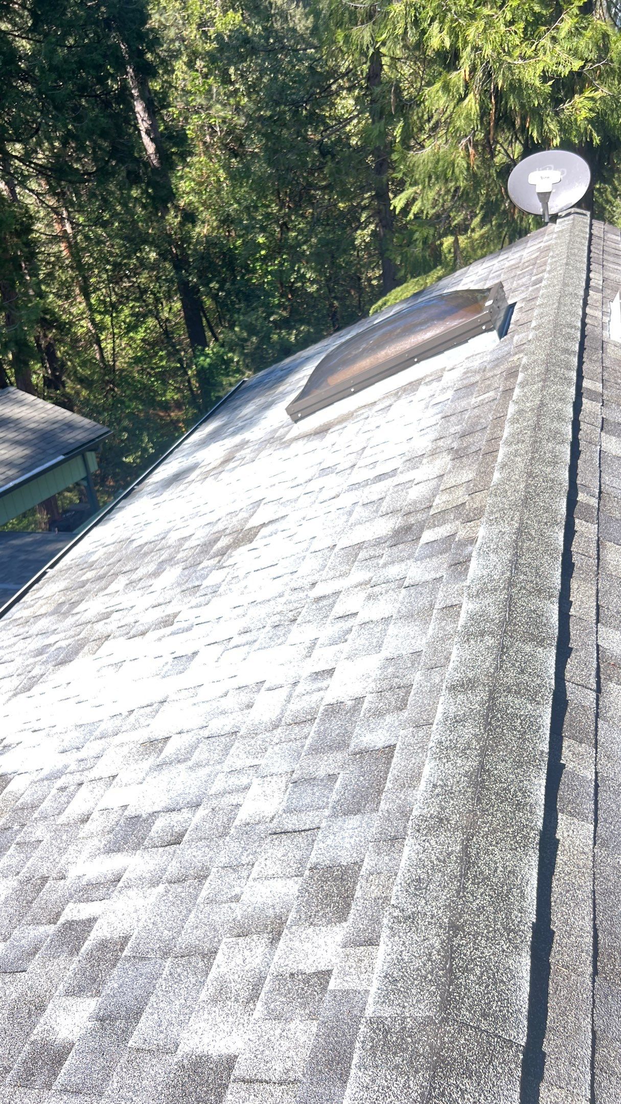 Roof Rejuvenation using Roof Maxx Treatment by Roof Maxx of Folsom