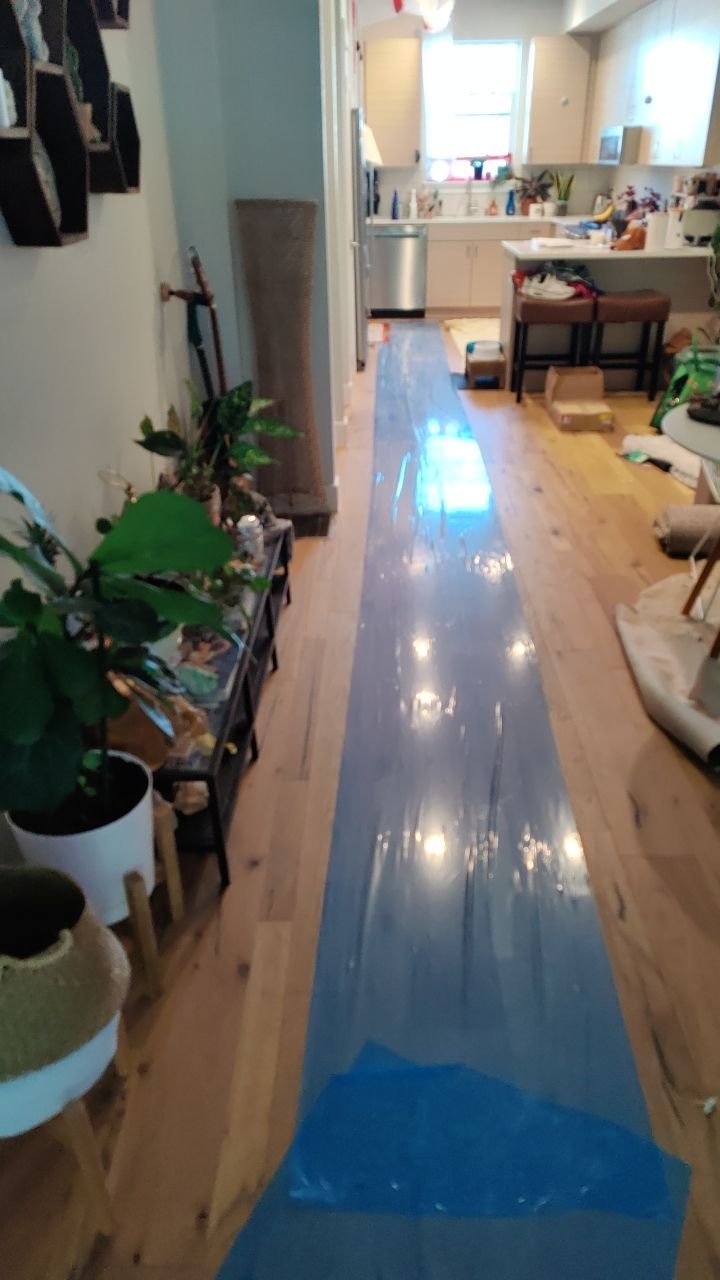 Mold Remediation  by Accountable Home Services