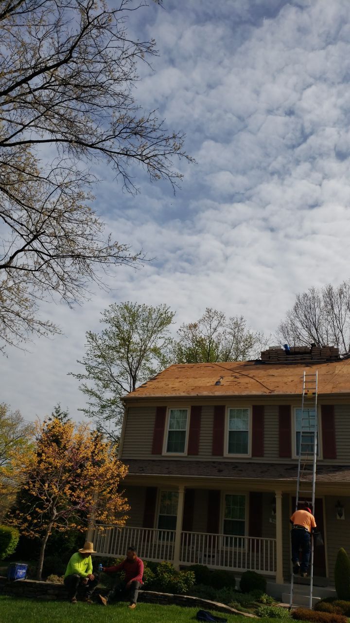 Springfield Certainteed Landmark Pro Designer Shingles by RM Banning, Inc.