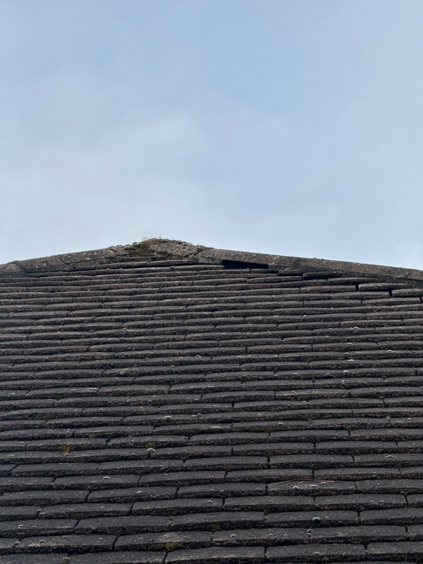 Exterior Clean - Roof - Patio - Driveway using honda 21 ltr/min by Ges Exterior Cleaning ltd