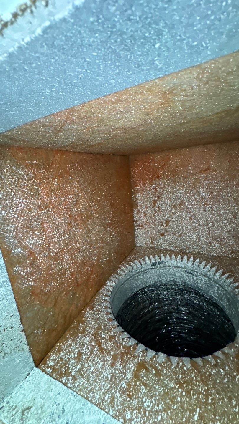 Air Duct Cleaning in Orlando by Hygienic Air, Inc