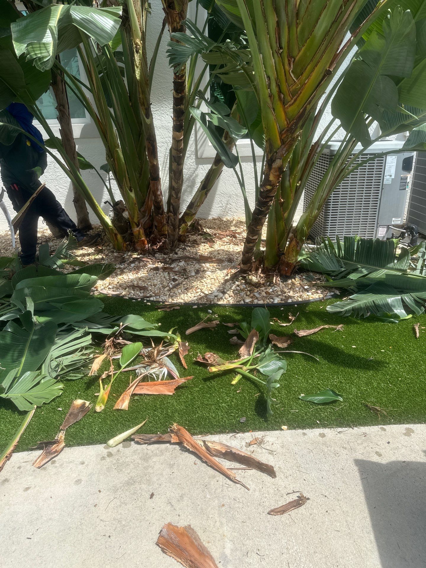 Sewall's Point Phase 1 - The Art of the Cutback by Alpha Zeta Enterprises Inc