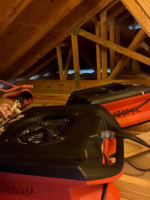Emergency Water Extraction — Naples, FL