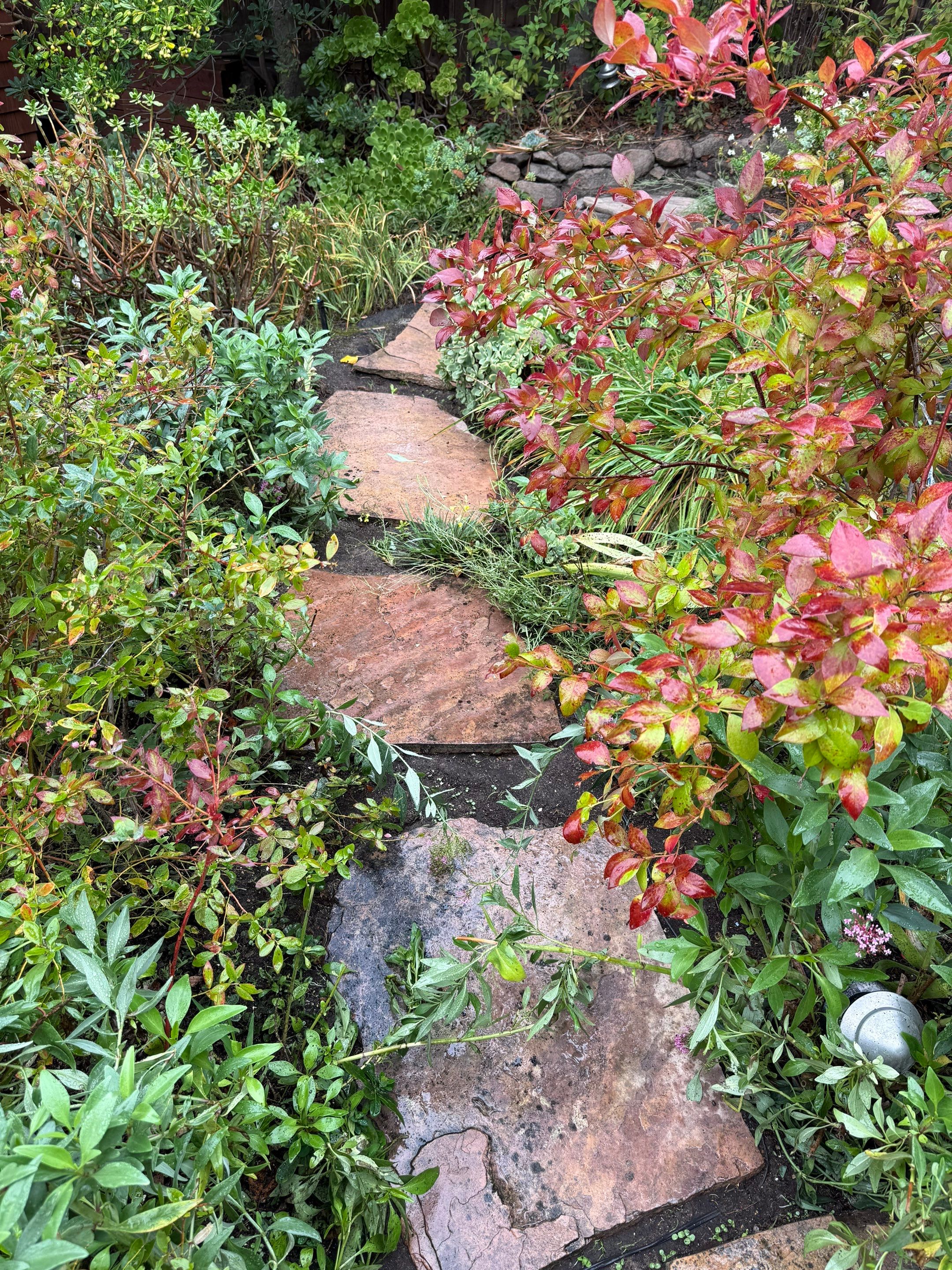 Full back garden refresh by SpotFree Window Cleaning