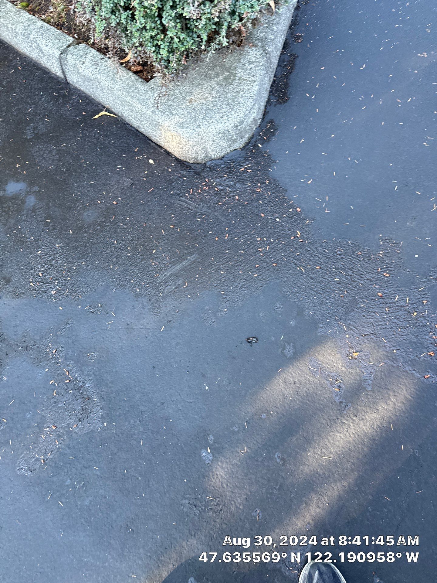 Buchan | Business Parking Lot Repair & Striping by Jireh Asphalt & Concrete Inc 