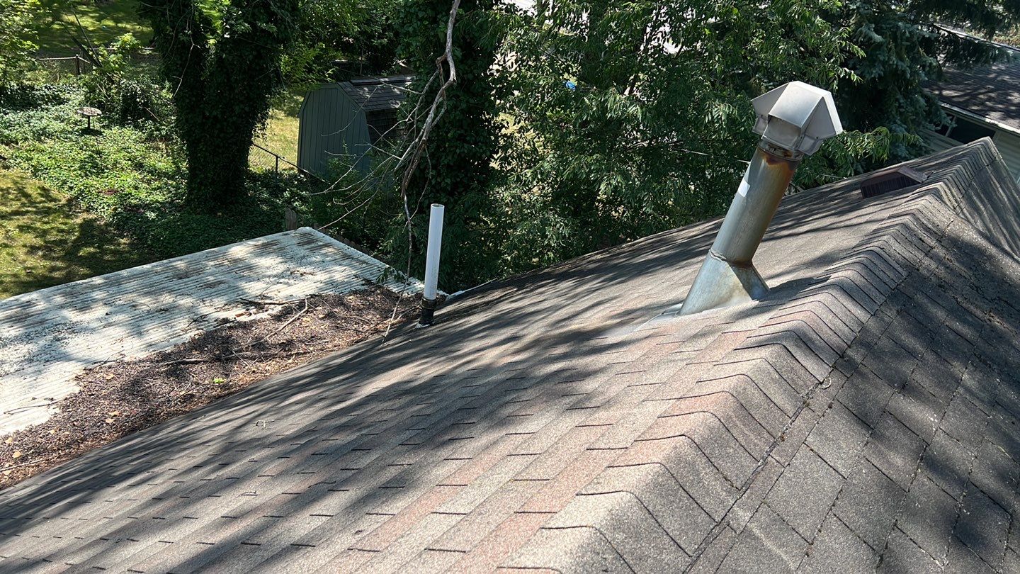 Sandra Schwab by Silver Leaf Contracting 