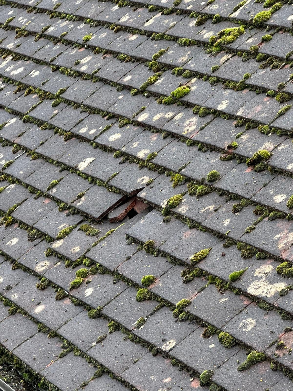 Roof Clean - Biocide Treatment using Mosmatic FSC and Biocide by Ges Exterior Cleaning ltd