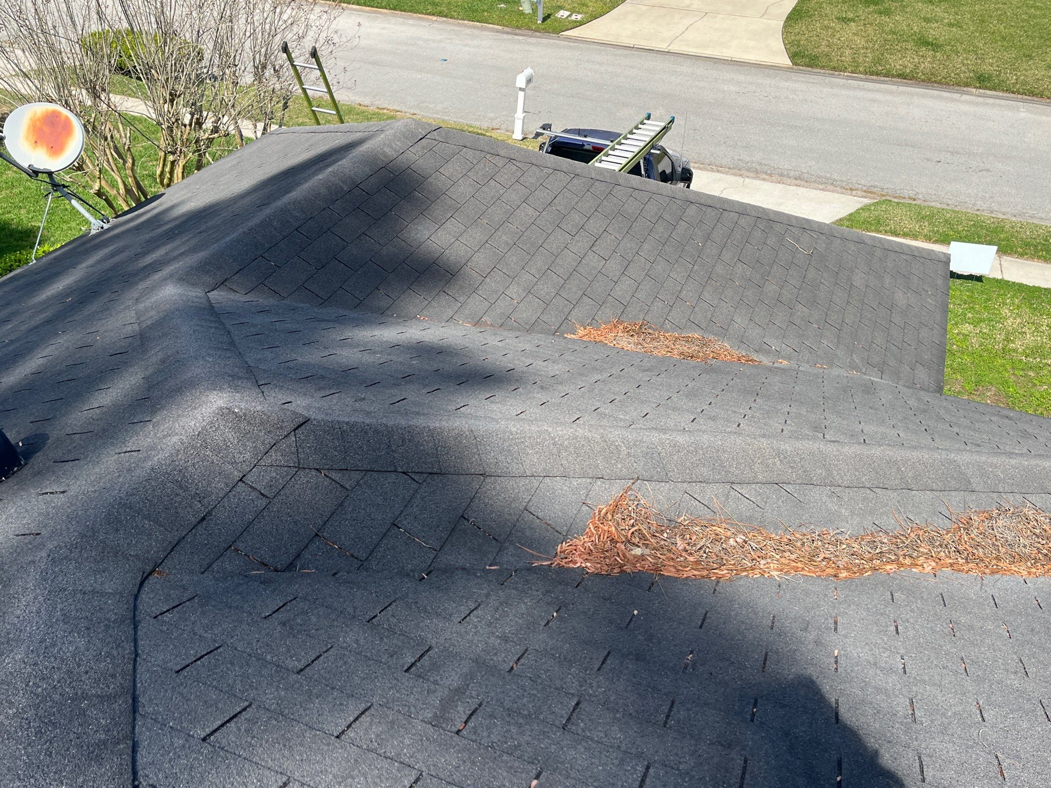 Shingle -> Shingle by Prime Roofing