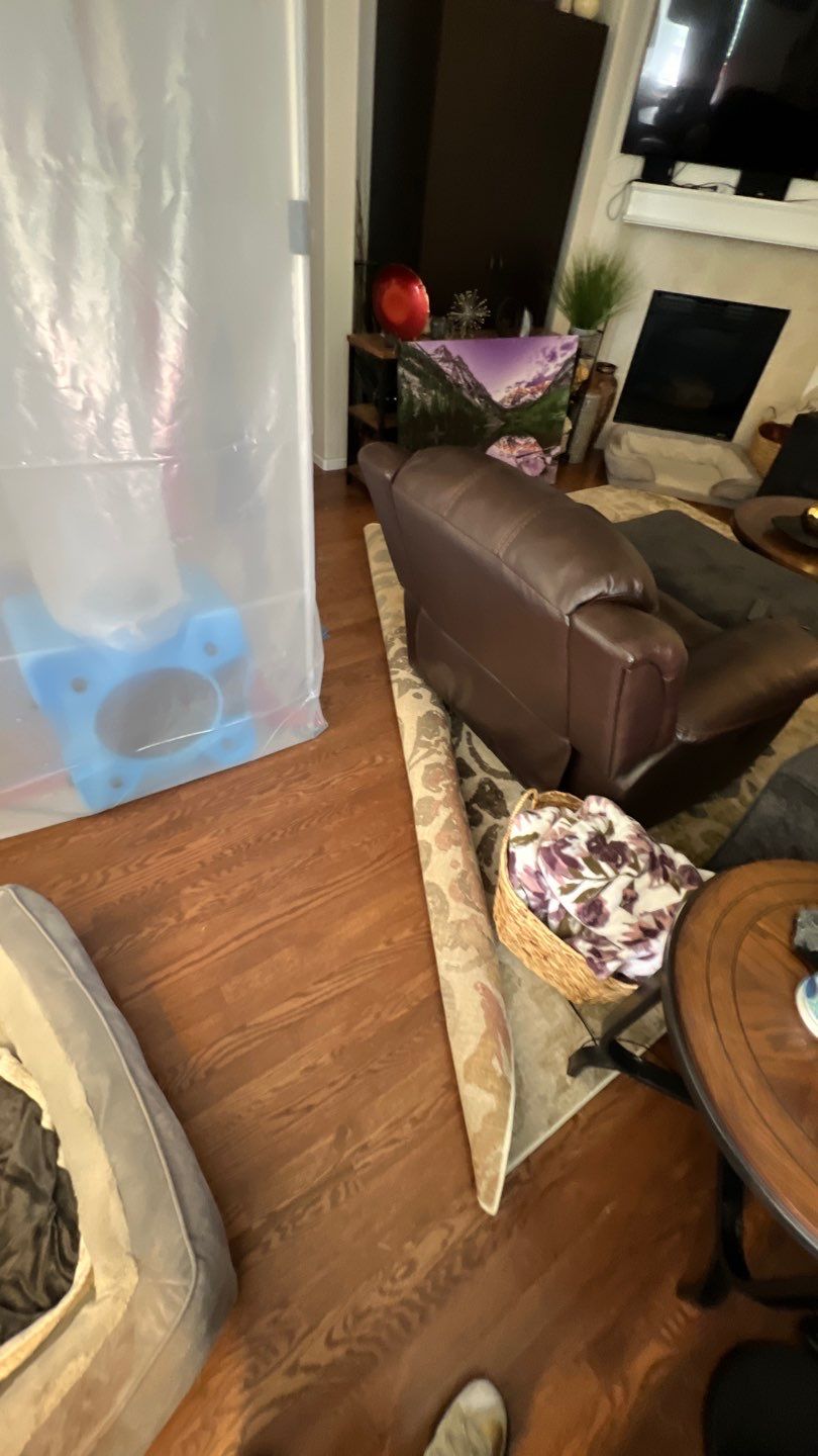 Mold Remediation by Accountable Home Services