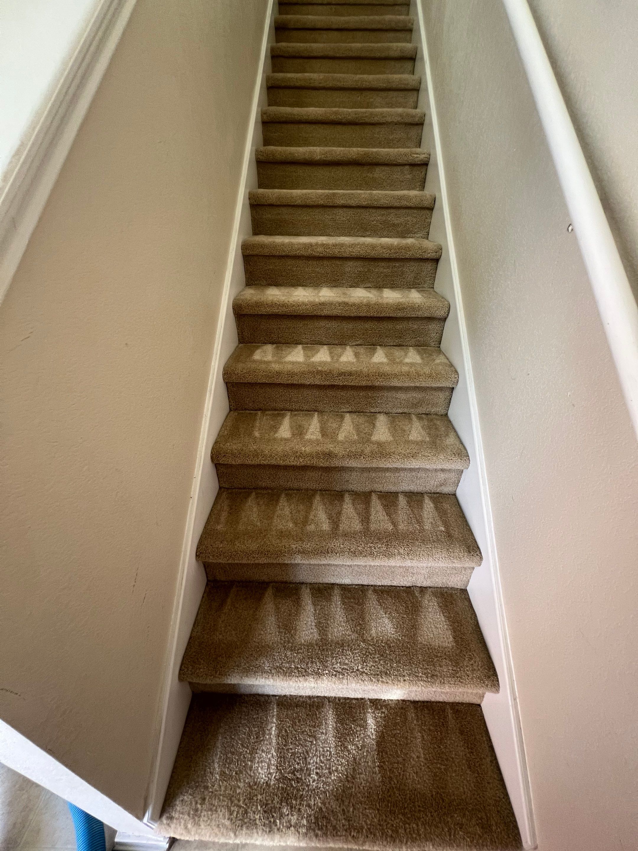 the service is deep cleaning of carpeted stairs removing dirt and stains for a fresh appearance and improved hygiene