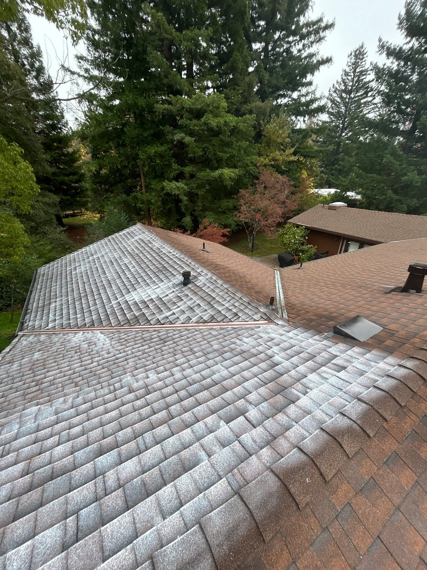 Roof Rejuvenation using Roof Maxx Treatment by Roof Maxx of Folsom