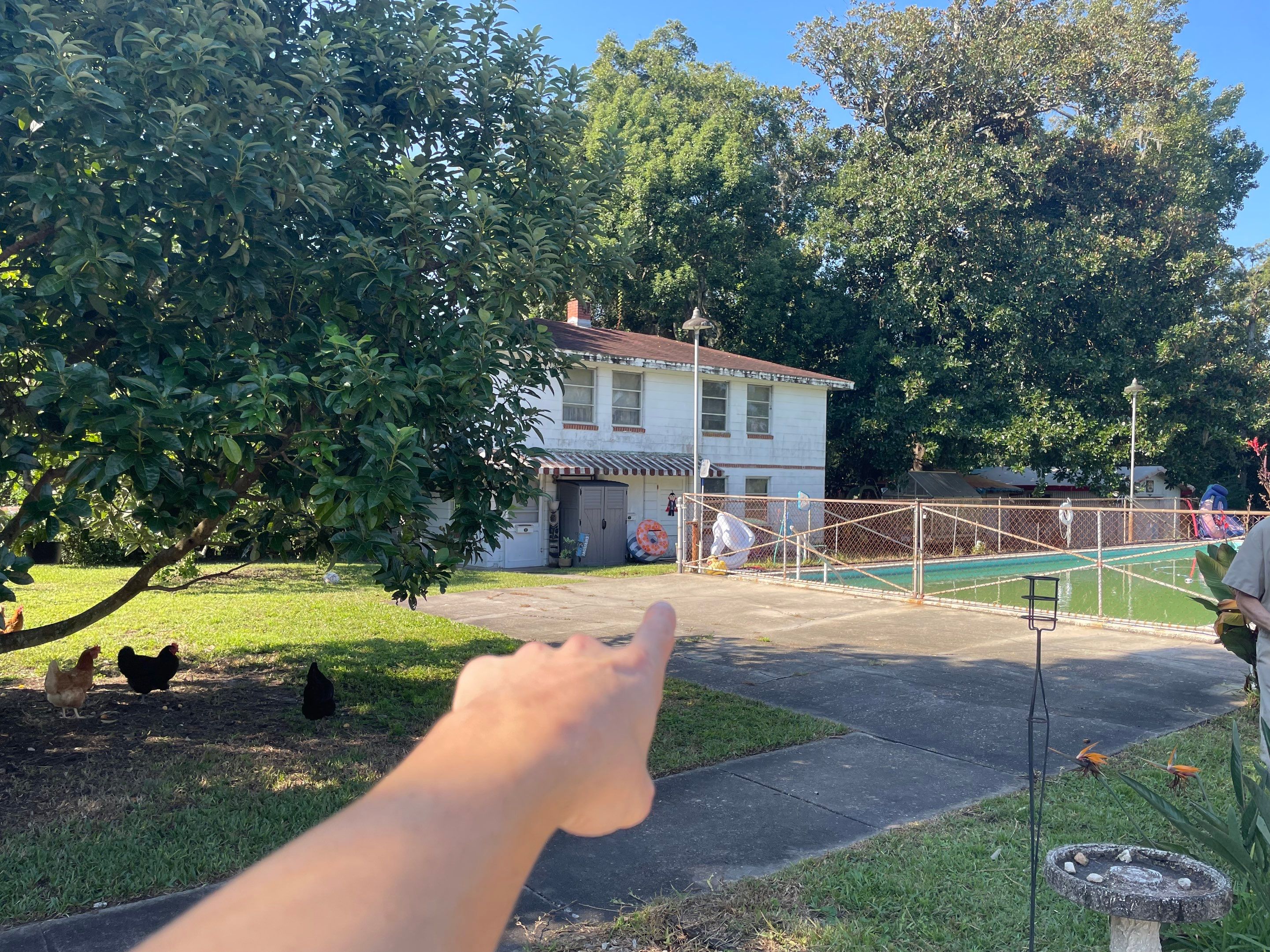 Shingle -> Shingle by Prime Roofing