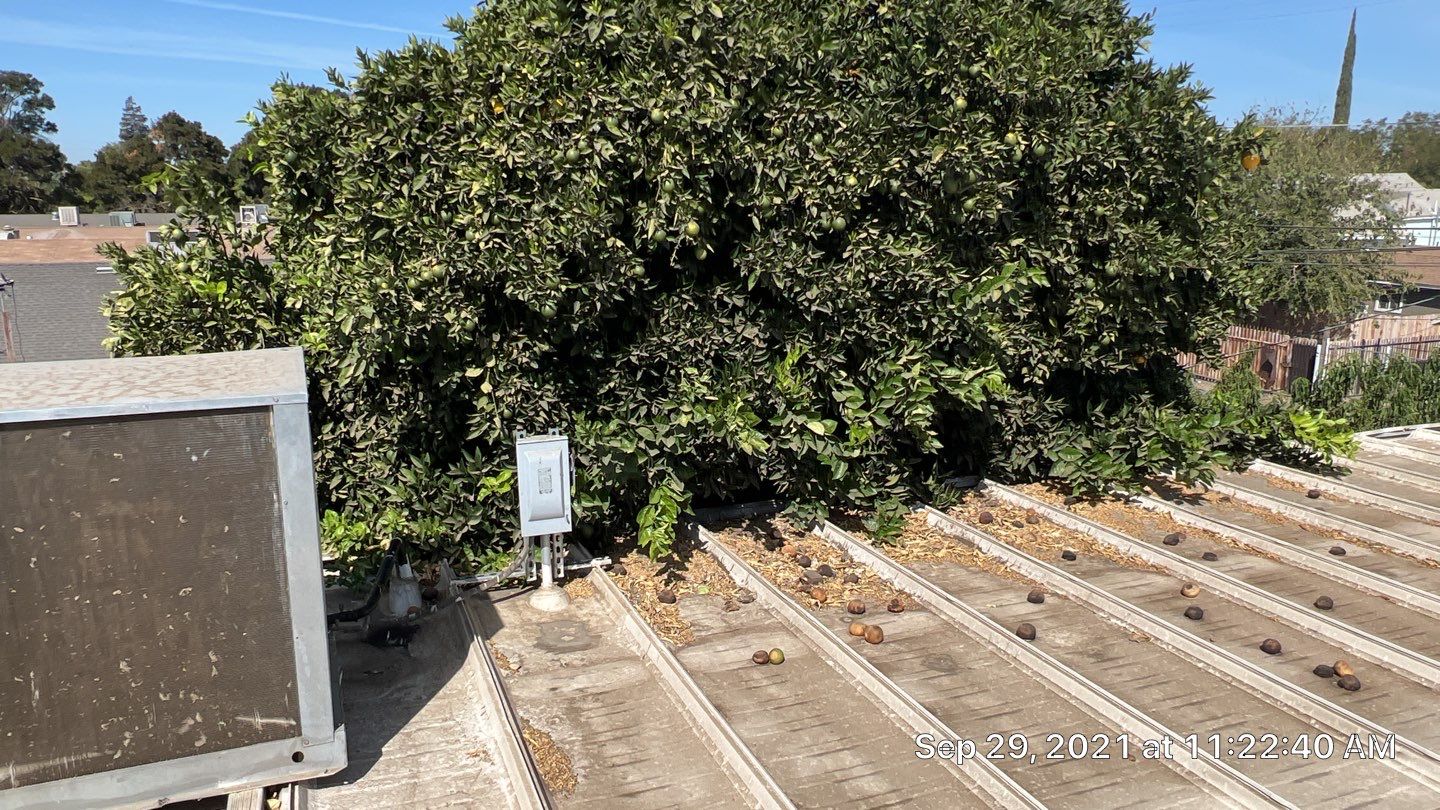  Chevron Gas Station by Straight Edge Roofing Inc