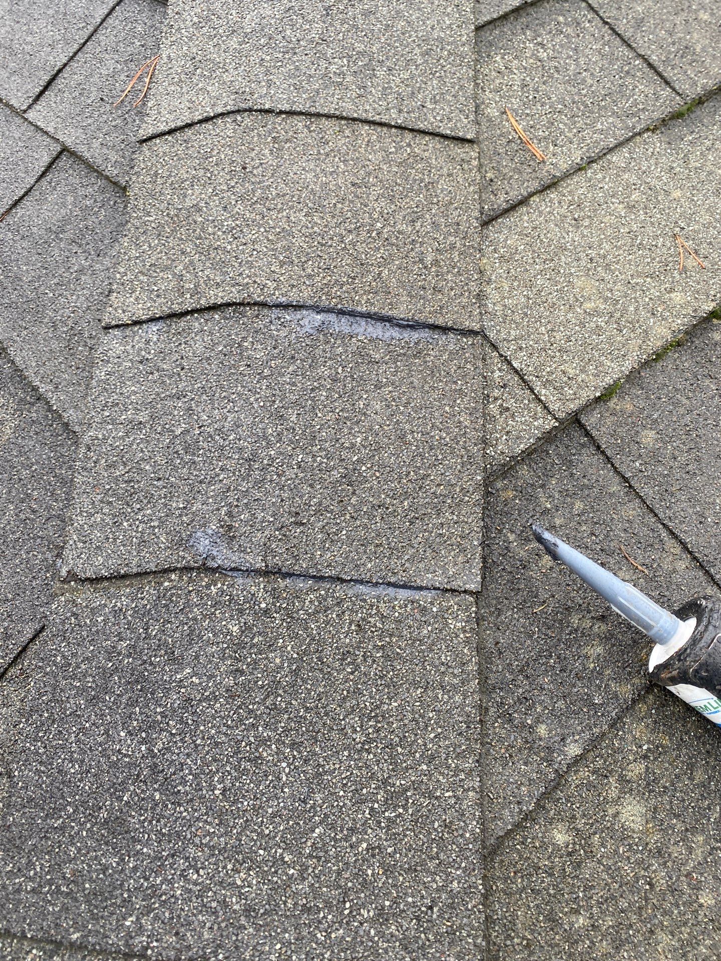 Emergency Roof Repair in Portland by Prodigy Roof Solutions