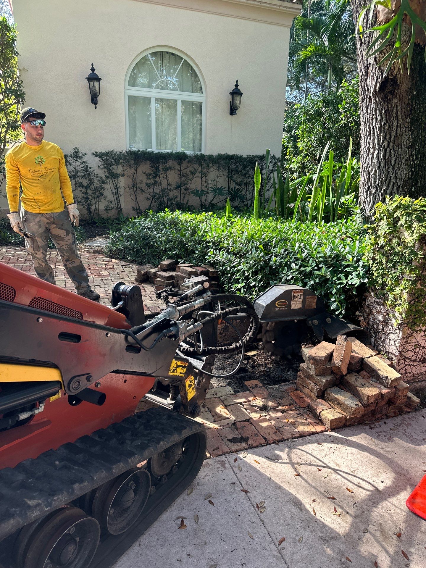 Removing Low Tree Branches Over Roof by Nature's Dream Landscape and Tree Service