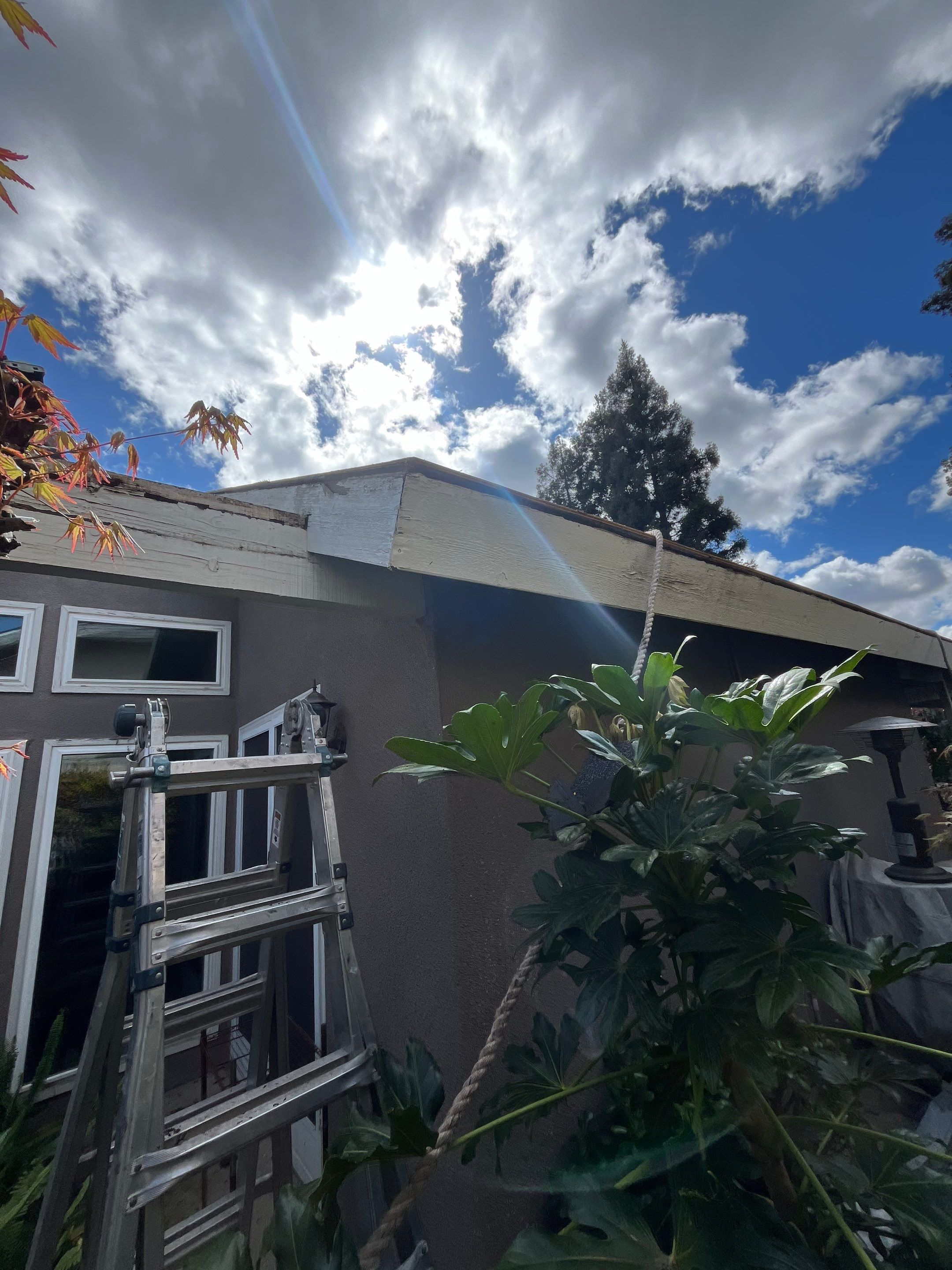 Roofing. + Solar + Patio + Paint Project by Grandmark Service Company