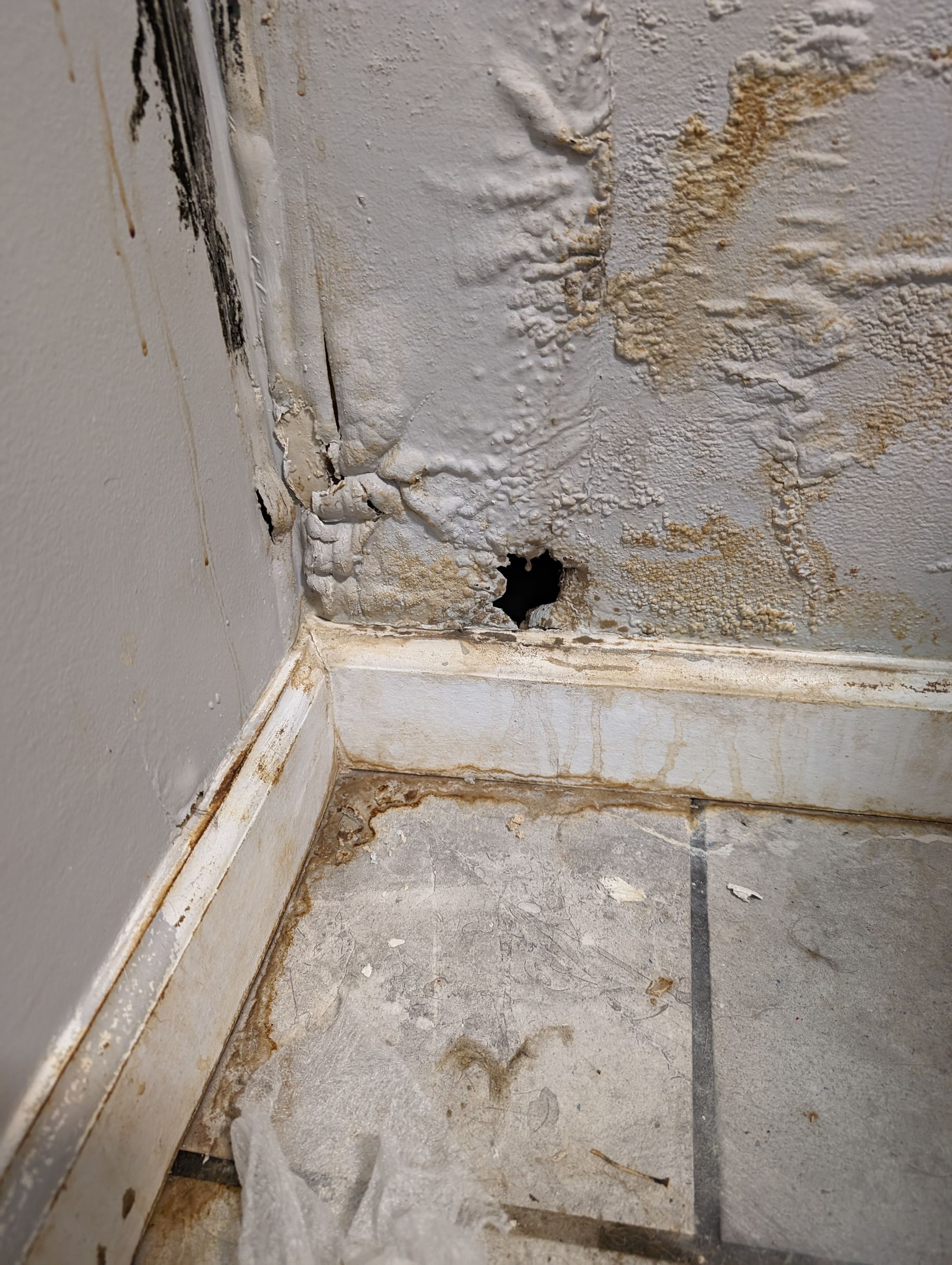 Mold Remediation in New Albany, IN by ANR Restoration