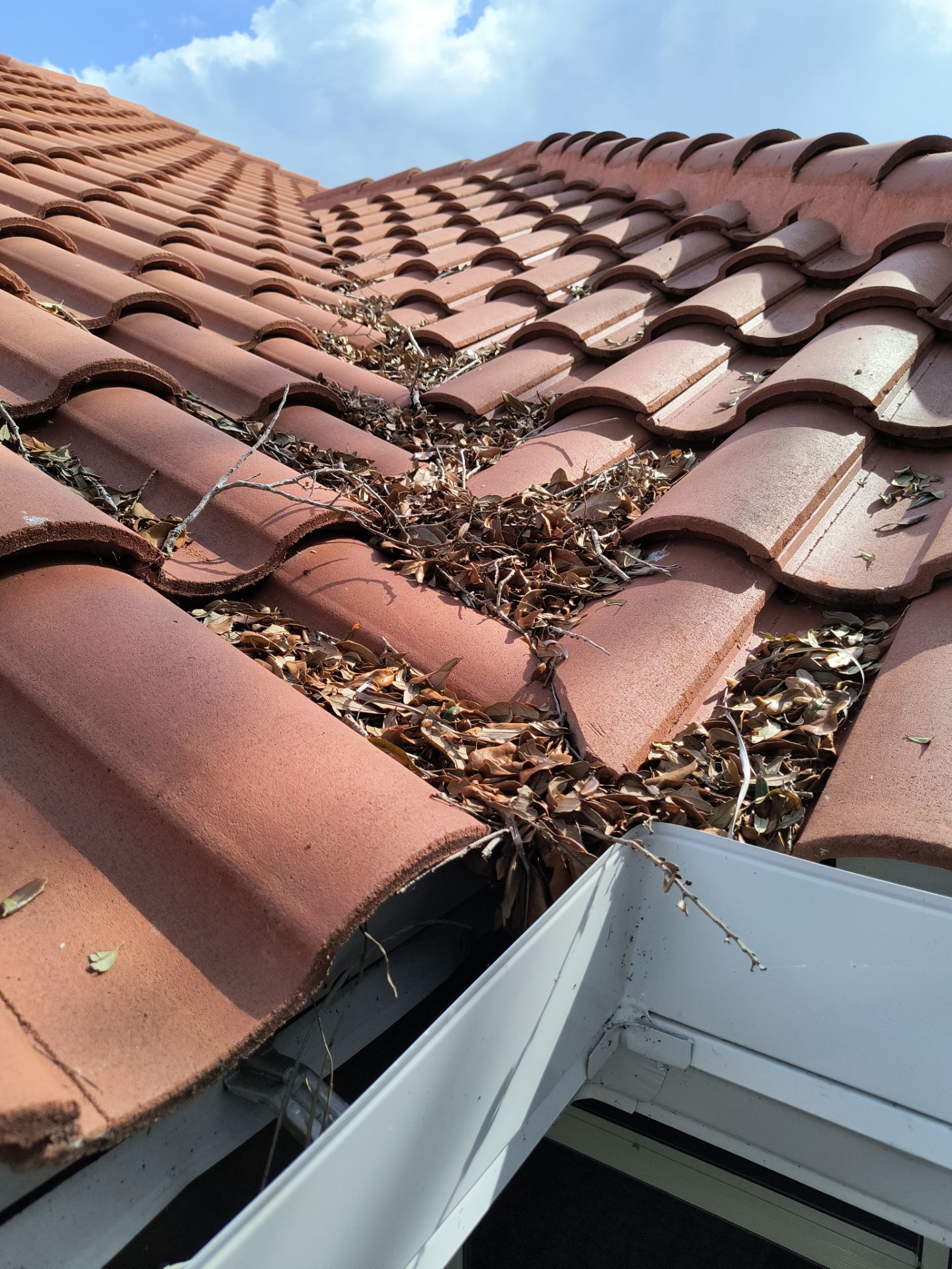 Downspout and Elbow Installation in Bonita Springs FL by Gutter Professors