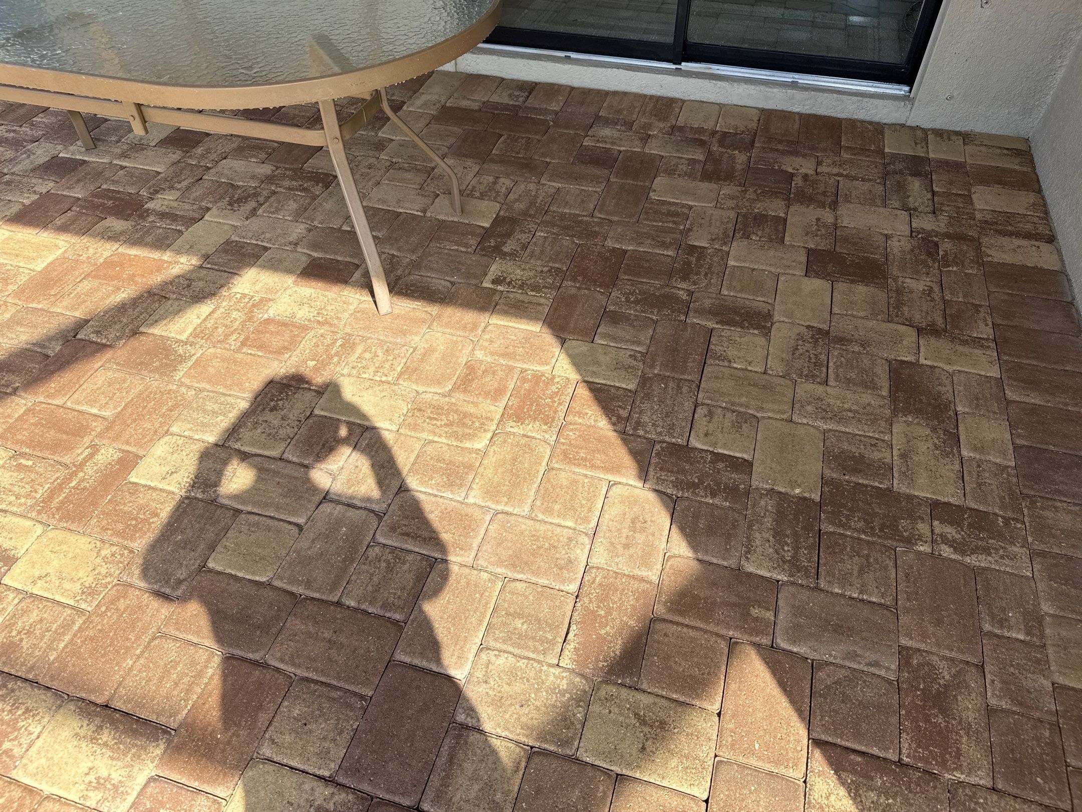 Paver Pool Deck, Driveway & Concrete Tile Roof Cleaning in River Strand, Bradenton, FL | Sunshine AquaWash by Sunshine AquaWash