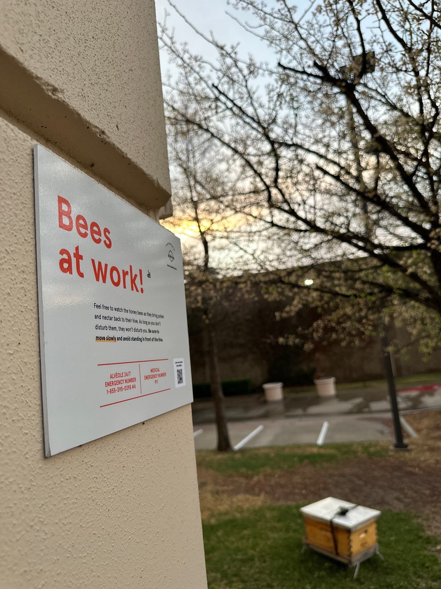 Rockwall Honey Bee Company featured photo.