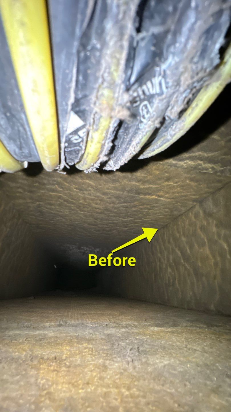 Air Duct Cleaning in Orlando by Hygienic Air, Inc