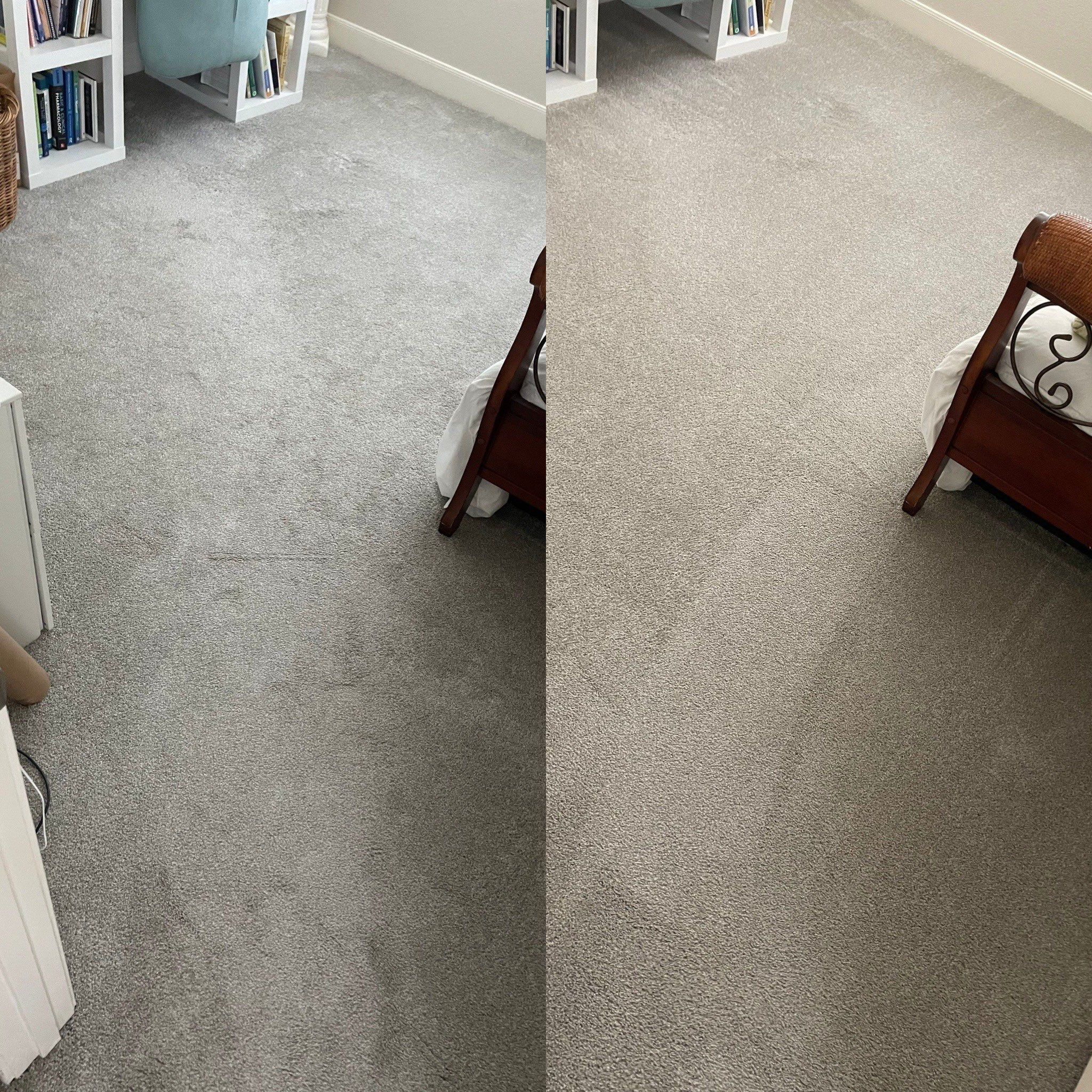 carpet cleaning service is removing stains and dirt from light colored carpet making it look fresh and new again