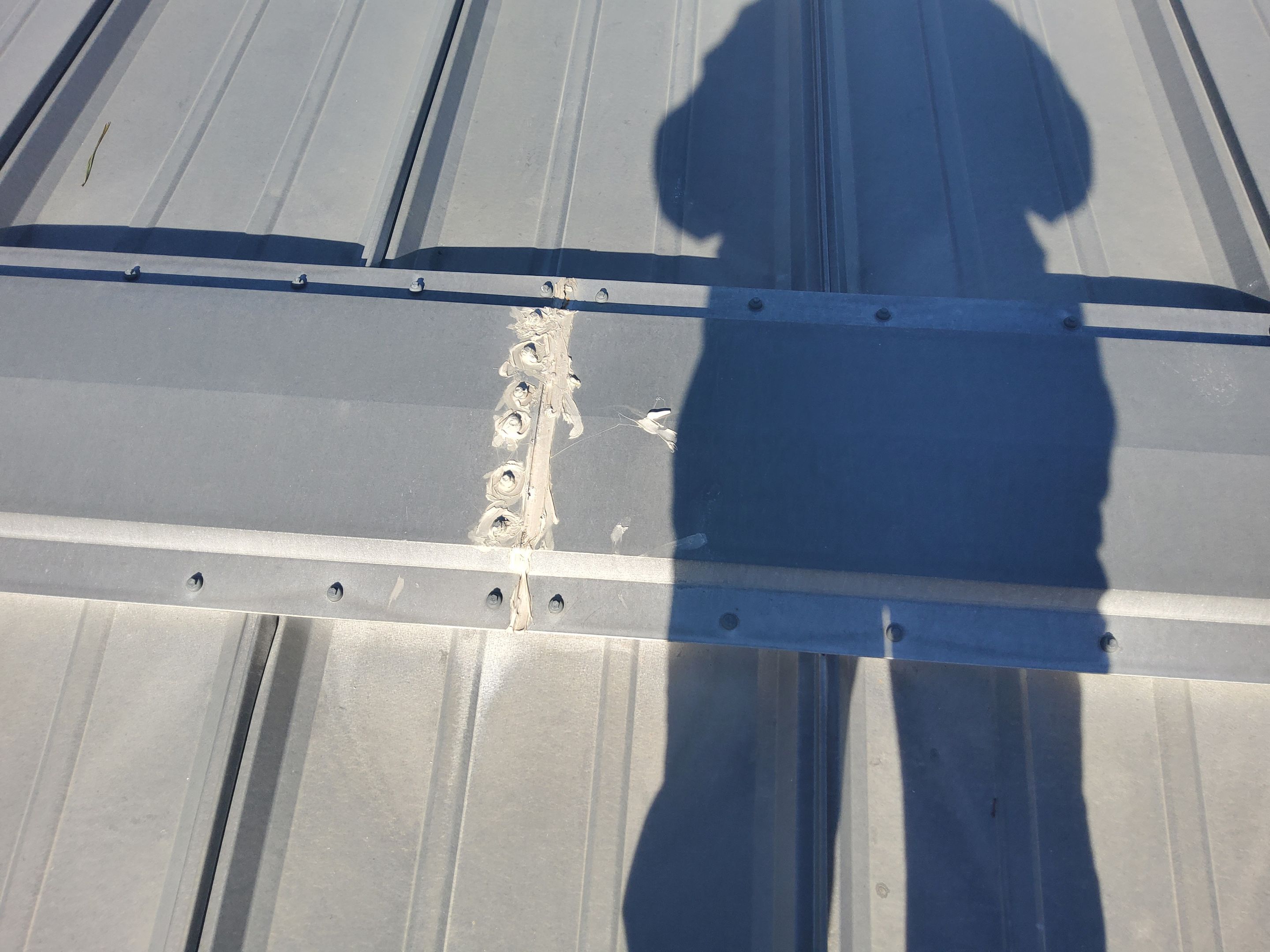 Tractor Supply Roof Repair by iGreen Solutions