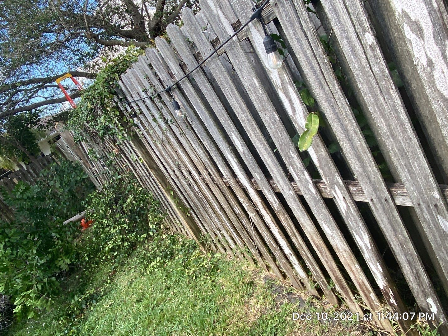 Venice, FL 6 ft. Tall Treated Board on Board Privacy Fence  by Asap fence and gates, LLC