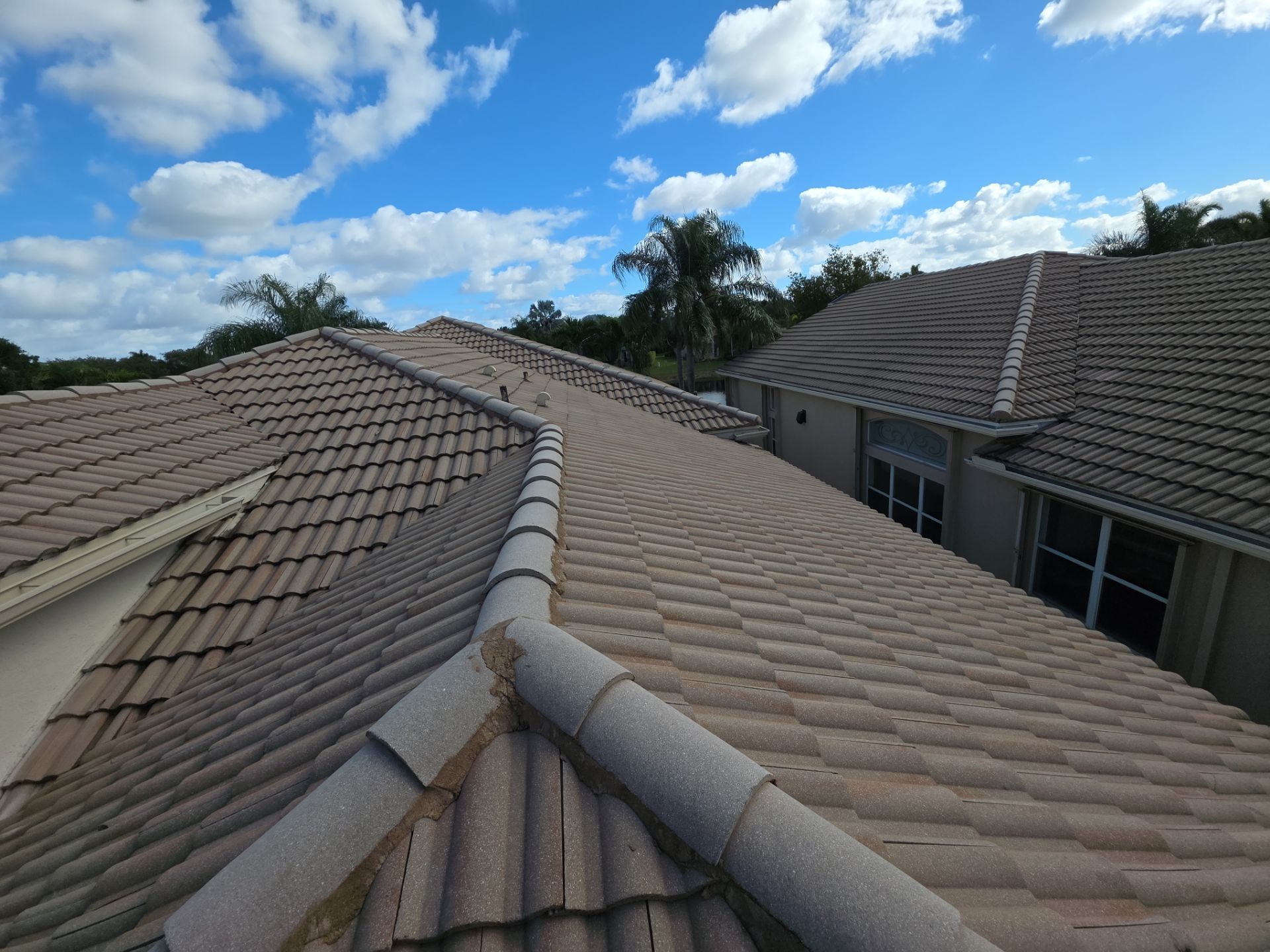 Full Concrete S-Tile Roof Replacement and Deck Repair in Wellington by Aastro Roofing