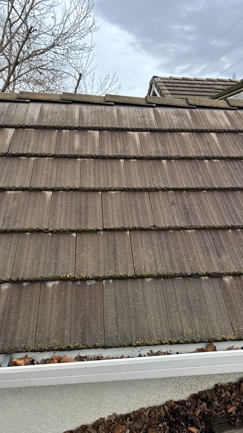 Project by NuLead Construction Inc by NuLead Construction Inc