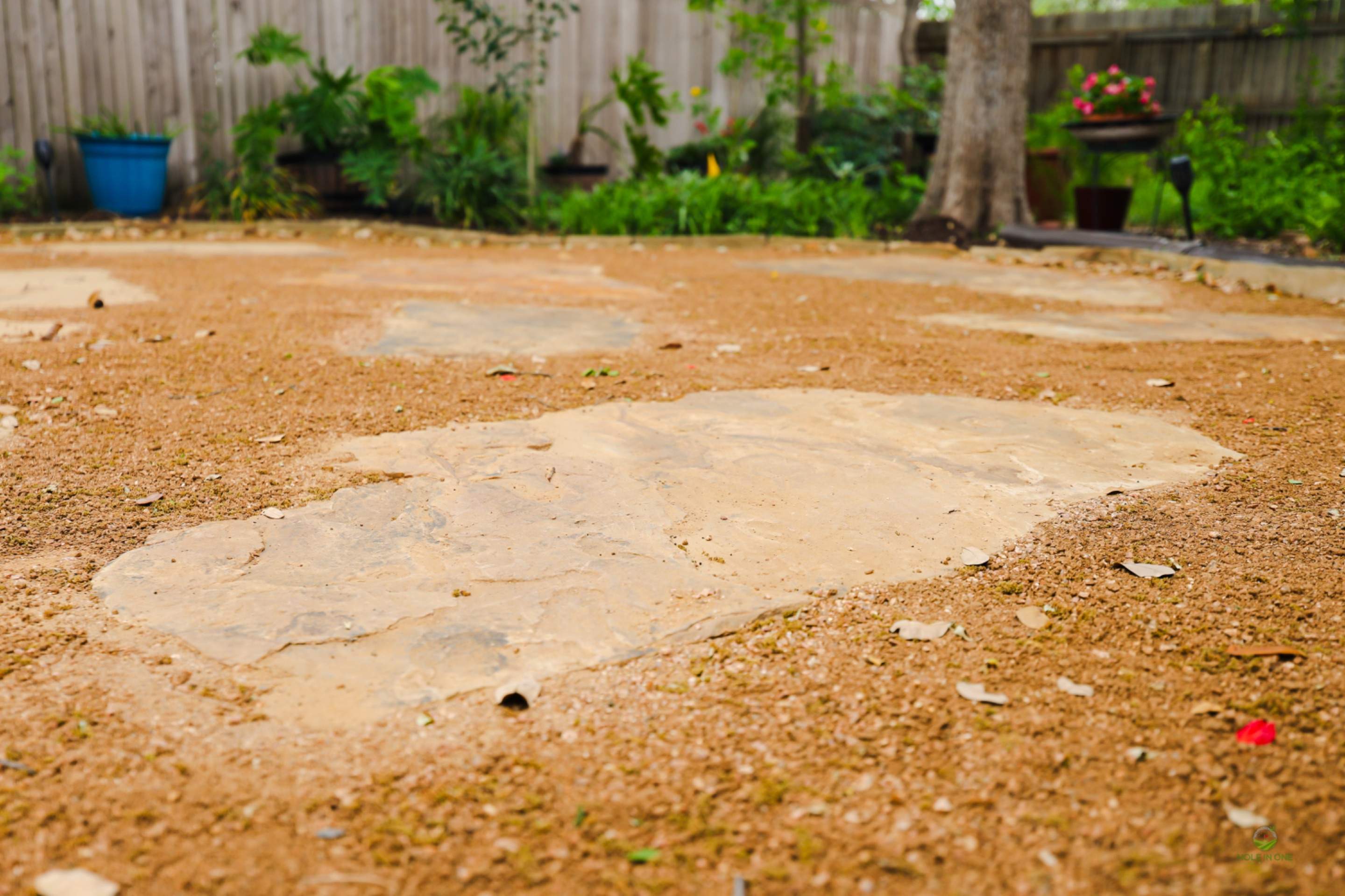 Thousand Oaks Neighborhood, San Antonio Tx. by Hole In One Lawns, LLC
