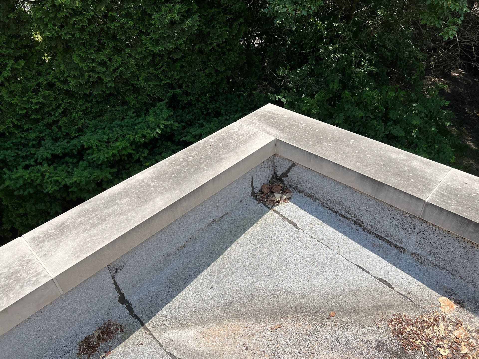 concrete cleaning using Algaecide, soft wash soap by Northern Power Washing LLC.