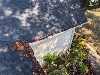 Gutter Clean-Out & Guard Maintenance – Debris & Pollen Buildup Removal
